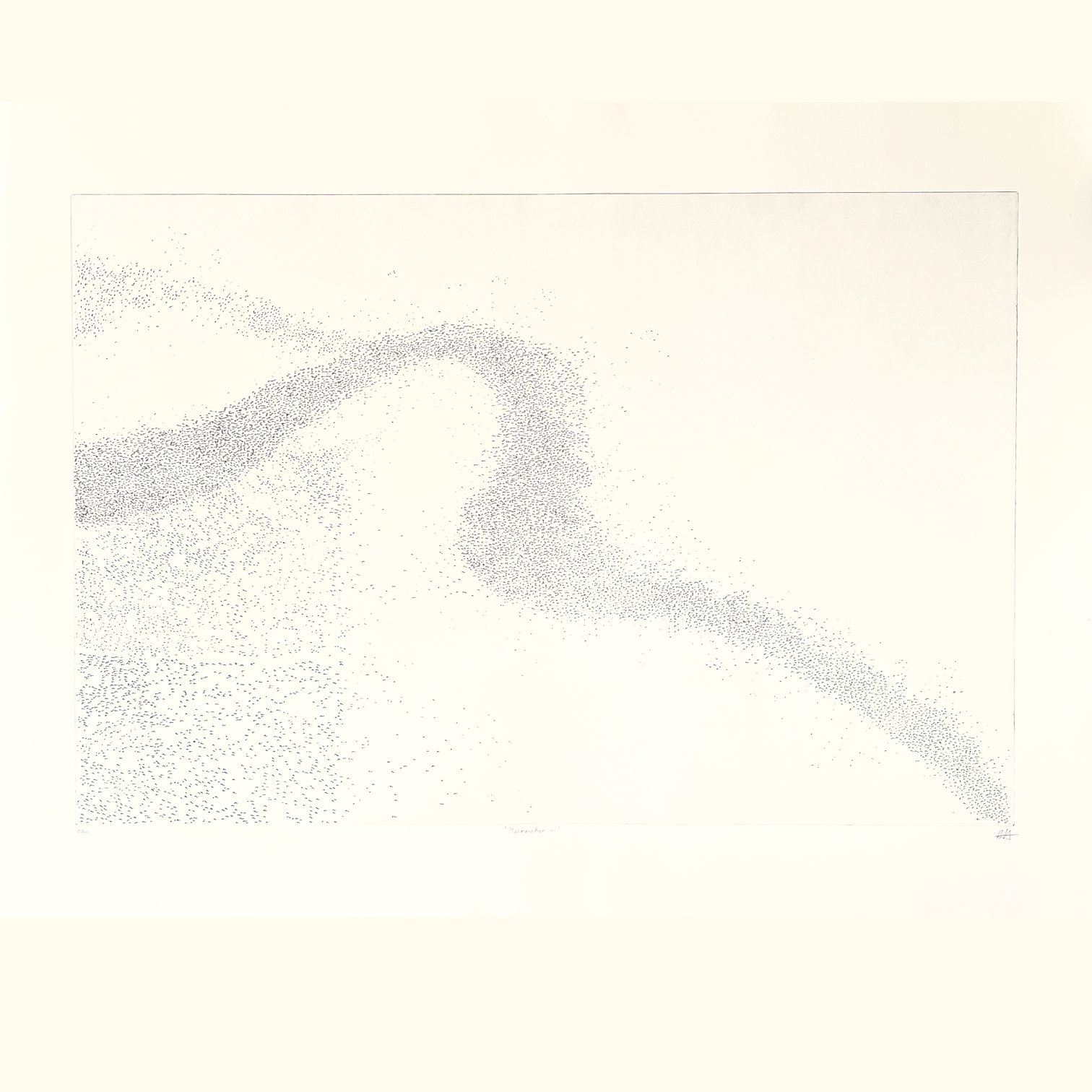 Murmuration iii.jpg
