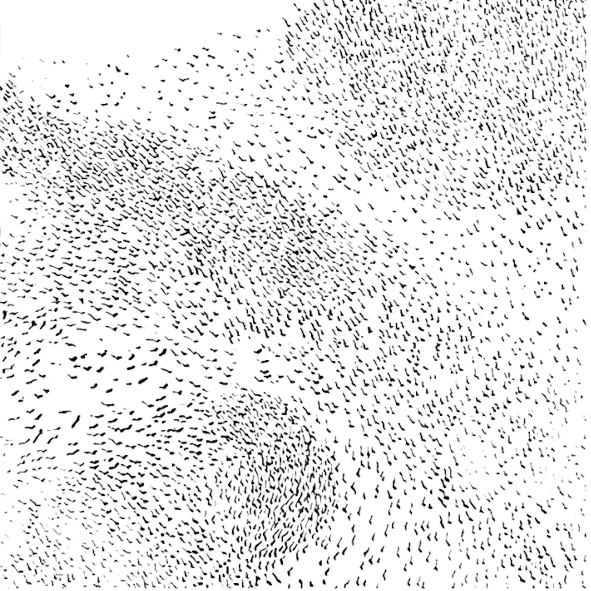 Murmuration state ii c.jpg