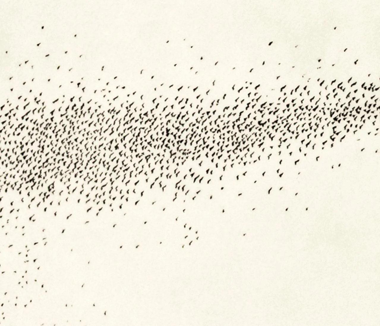 murmuration vi c.jpg
