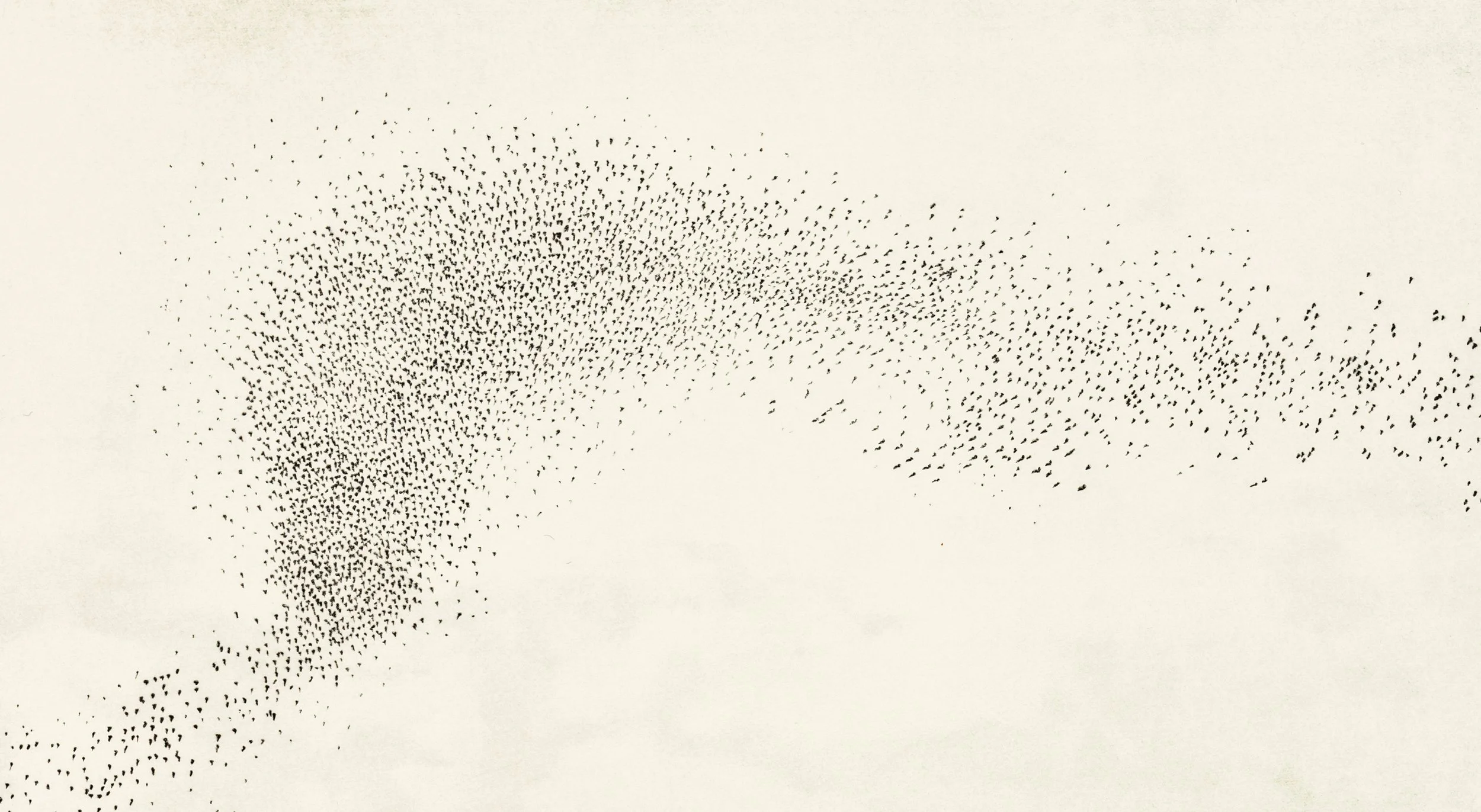 murmuration v c.jpg