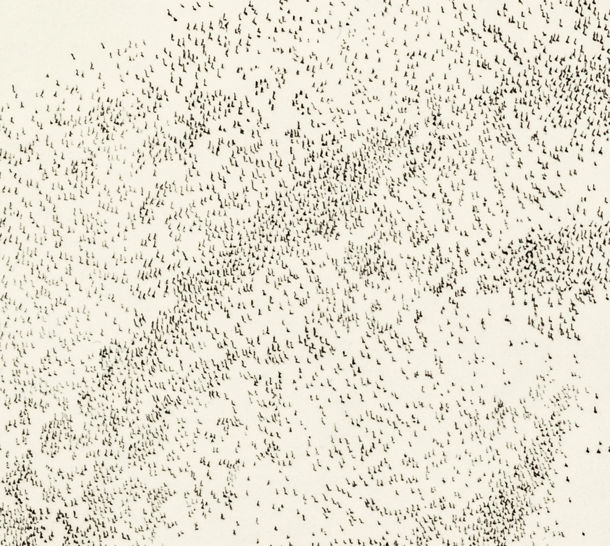 murmuration ii c.jpg