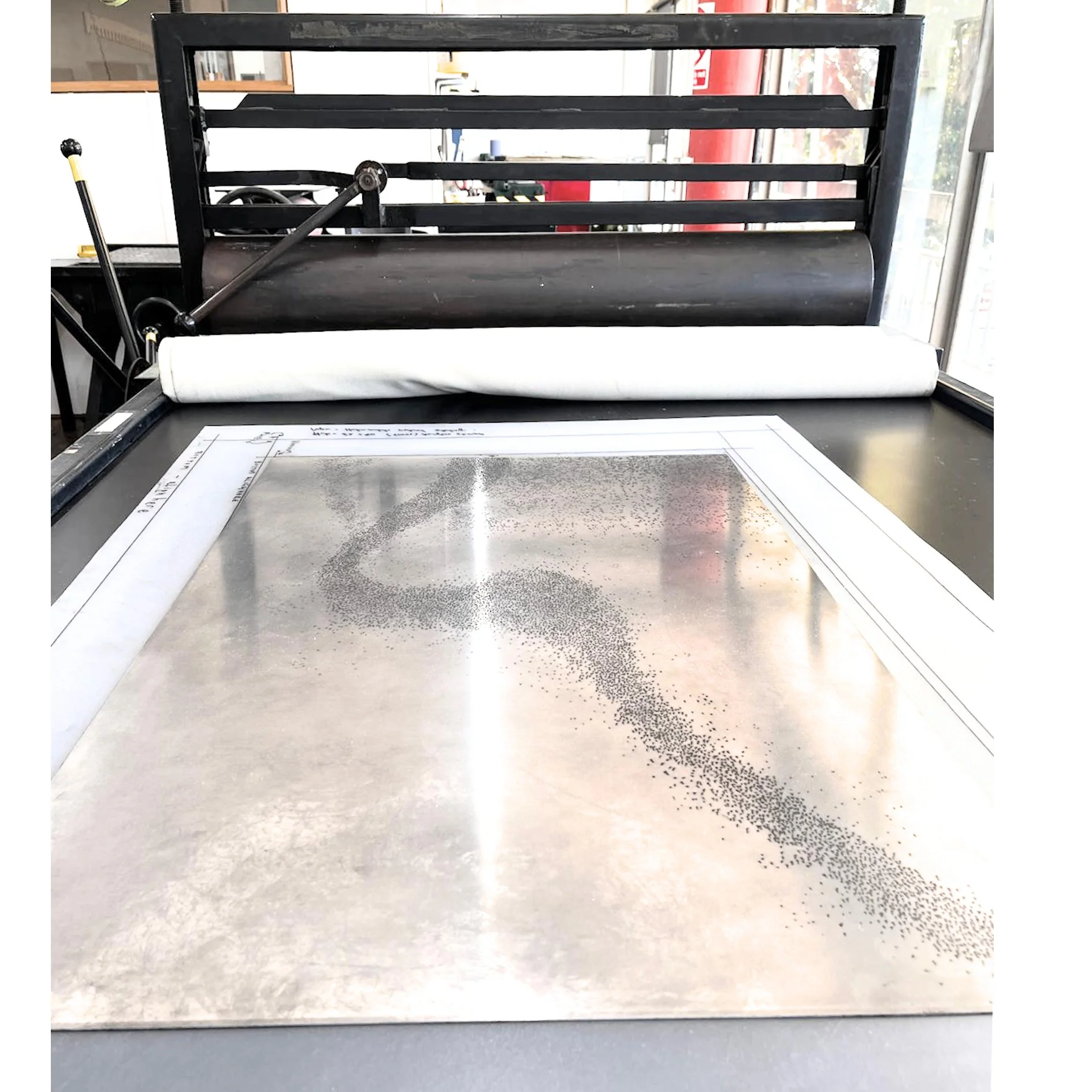 Murmuration iii on press.jpg