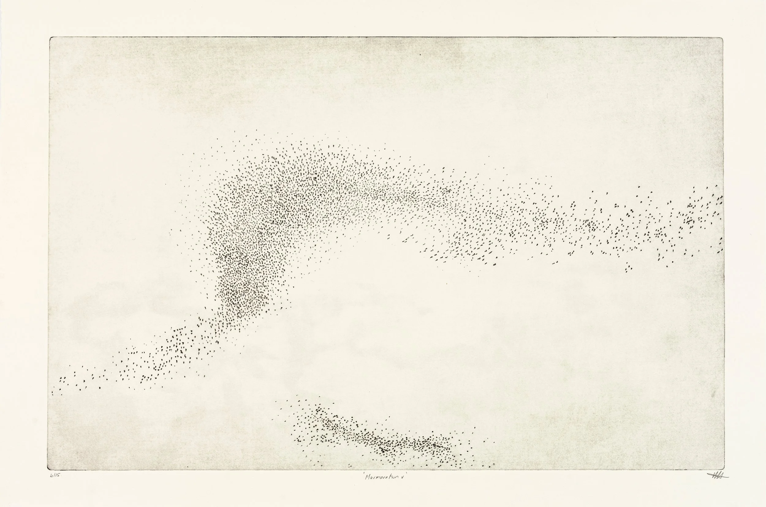 murmuration v a.jpg