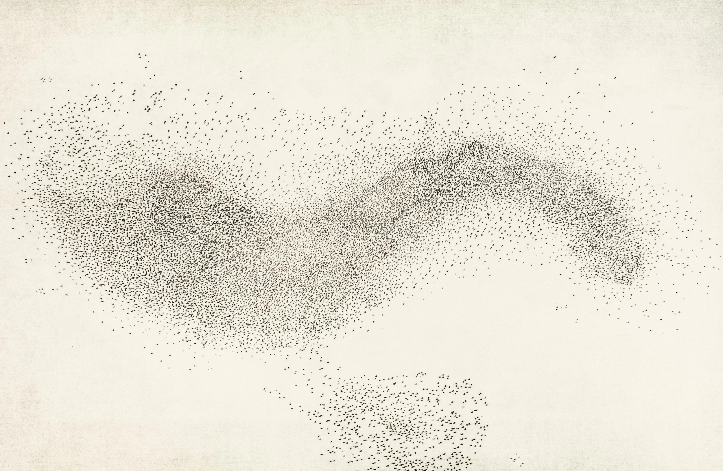 murmuration vii b.jpg