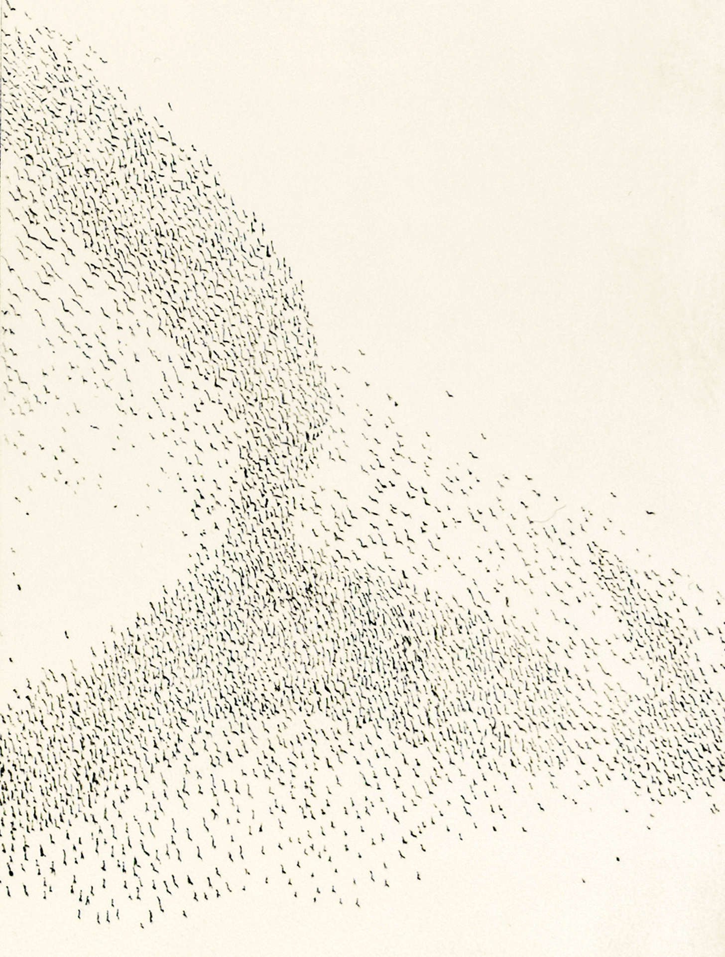 murmuration 3 plate c.jpg