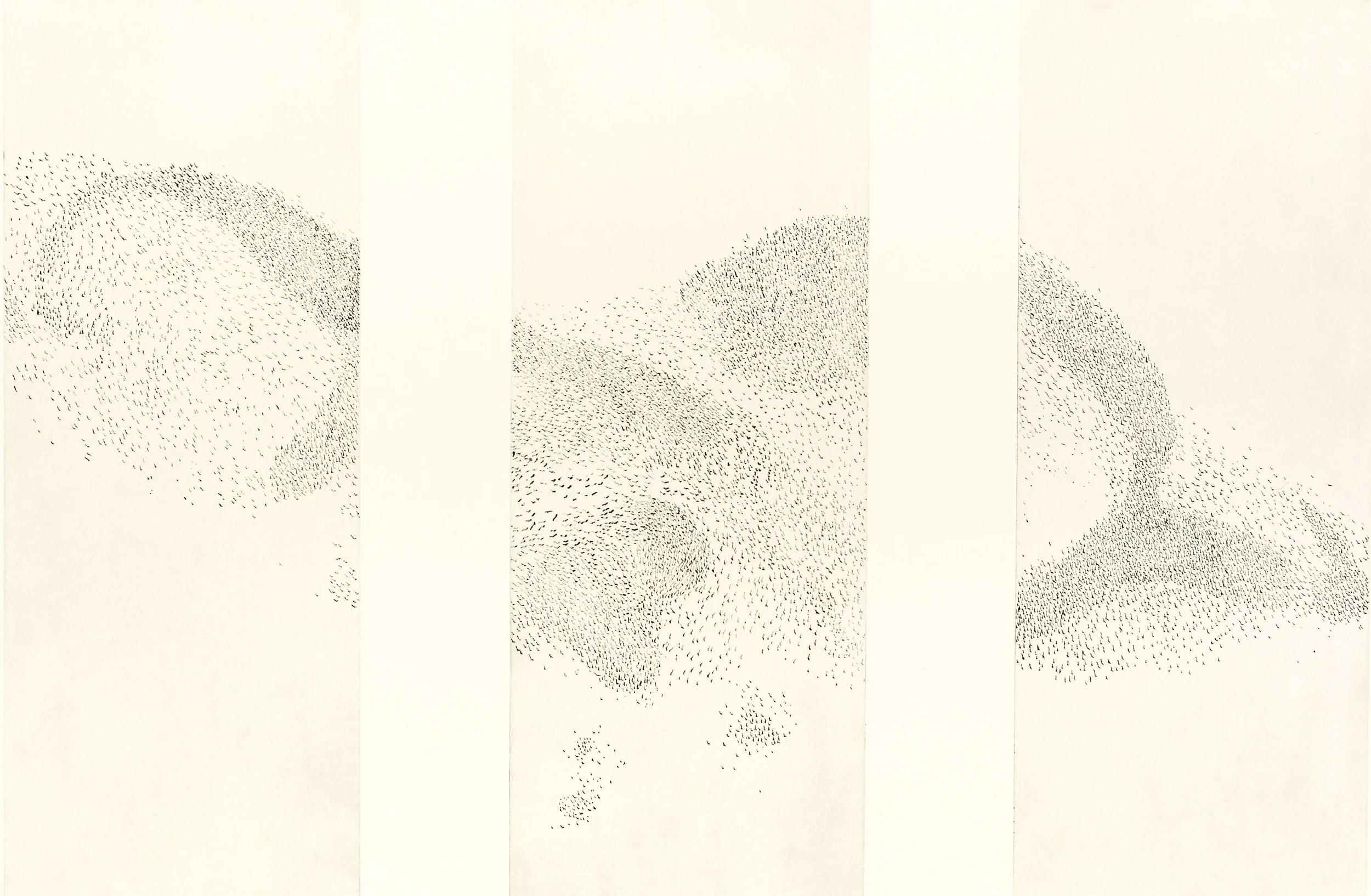 murmuration 3 plate b.jpg