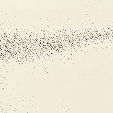 murmuration iv detail a.jpg