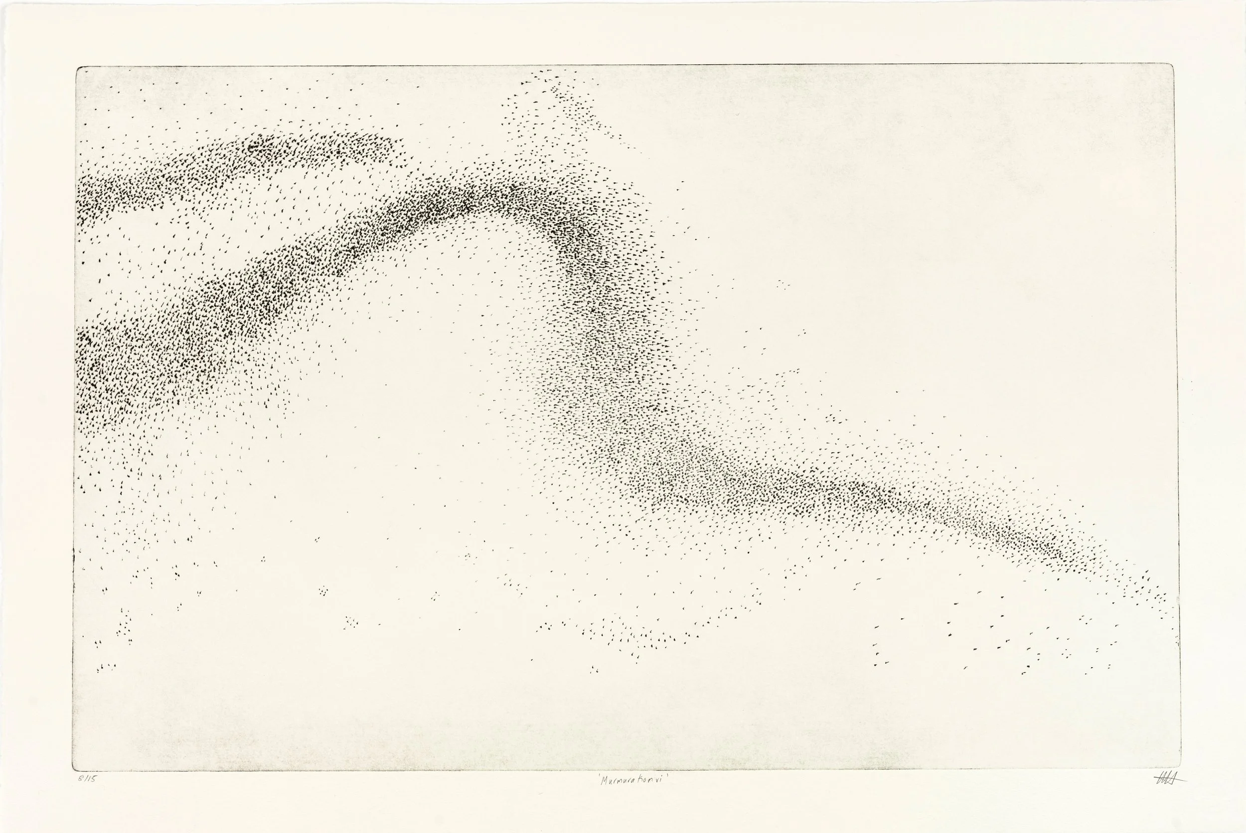 murmuration vi a.jpg