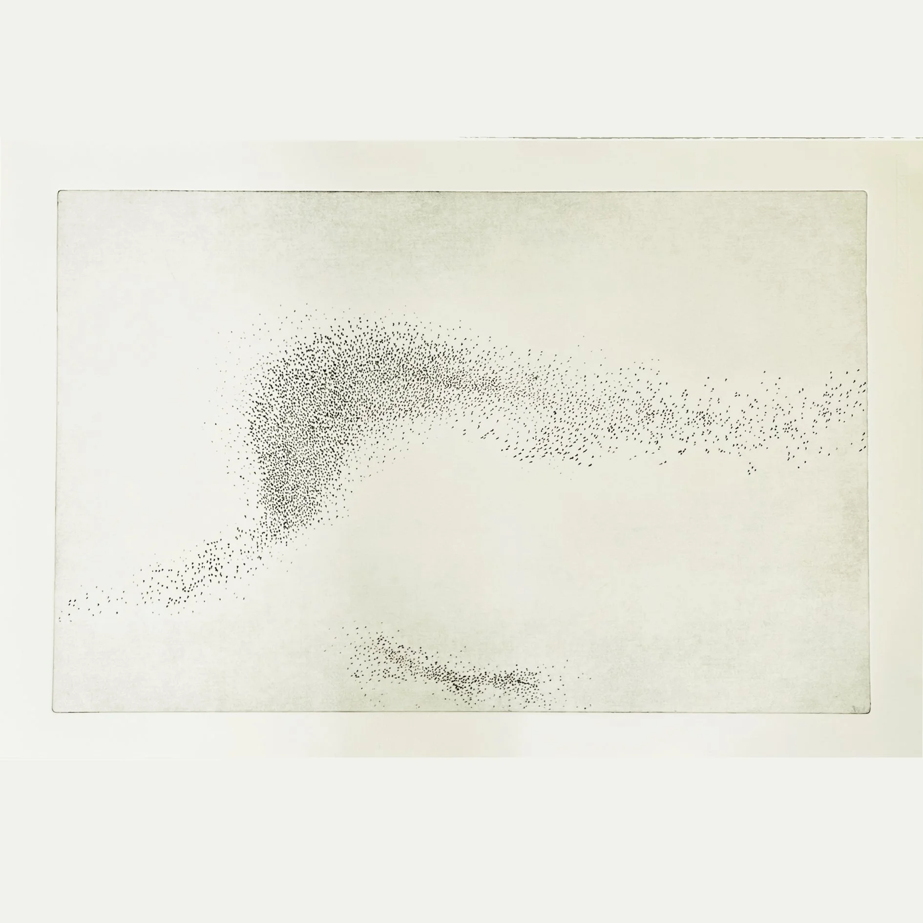murmuration v a.jpg
