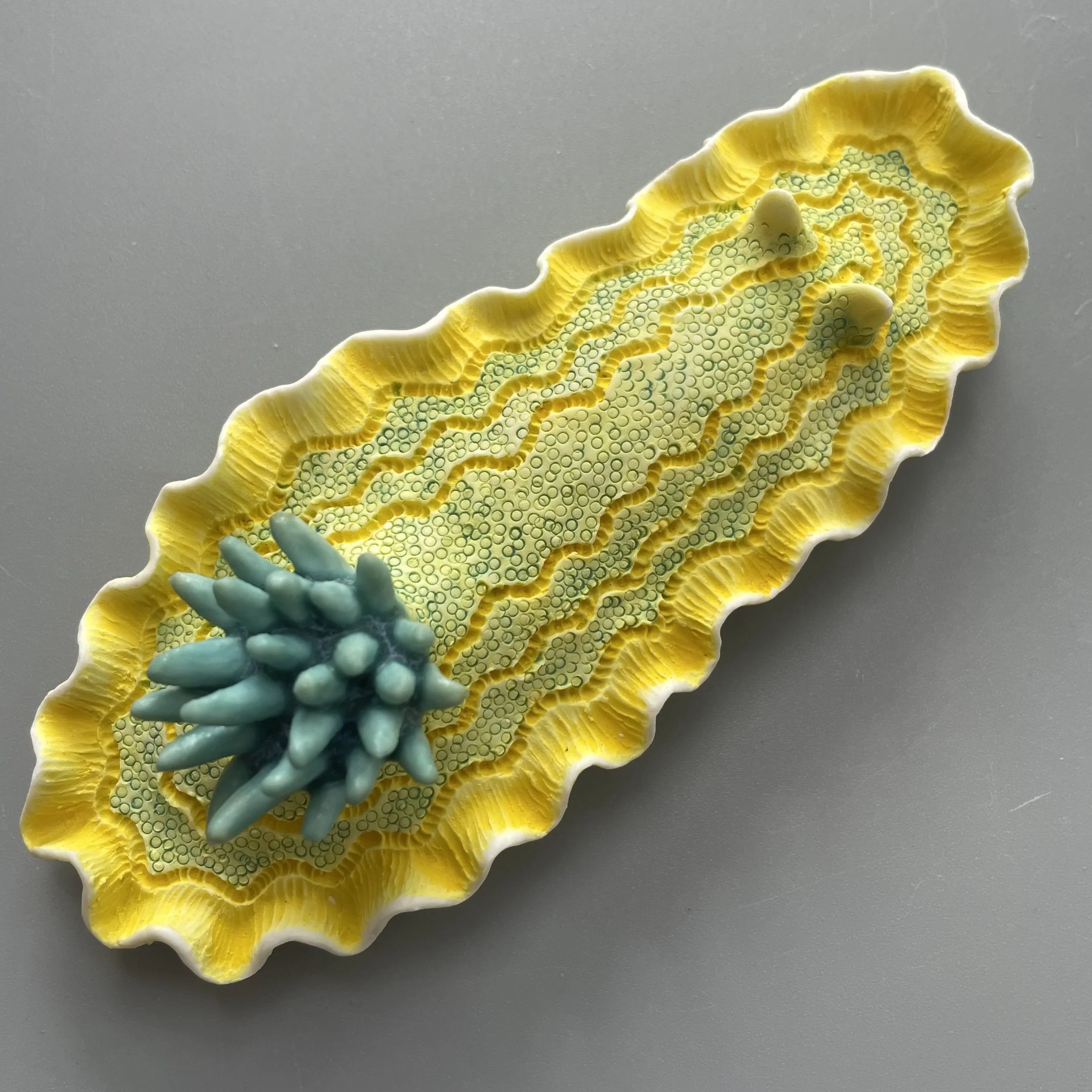 Mini Nudibranch 074