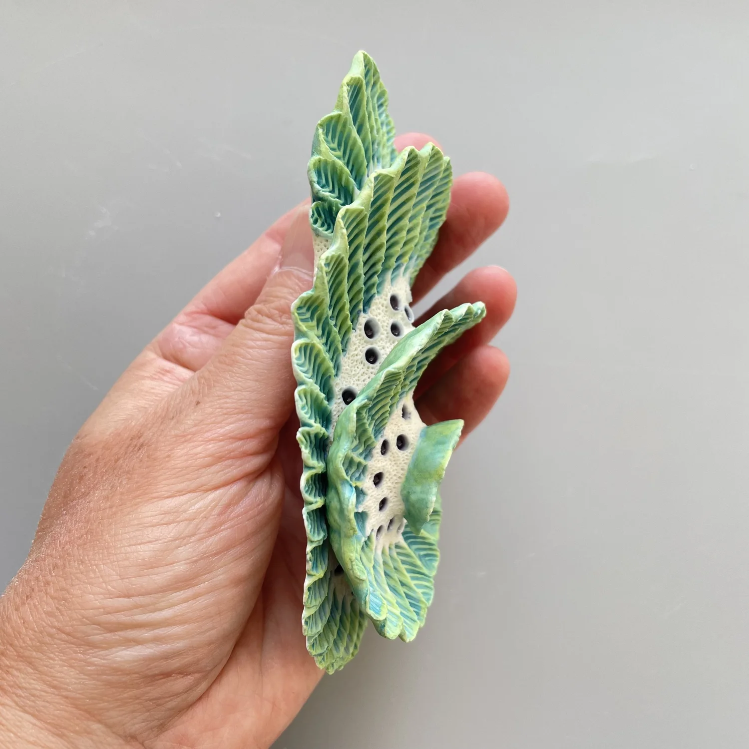 Mini Nudibranch 020 — seaurchin