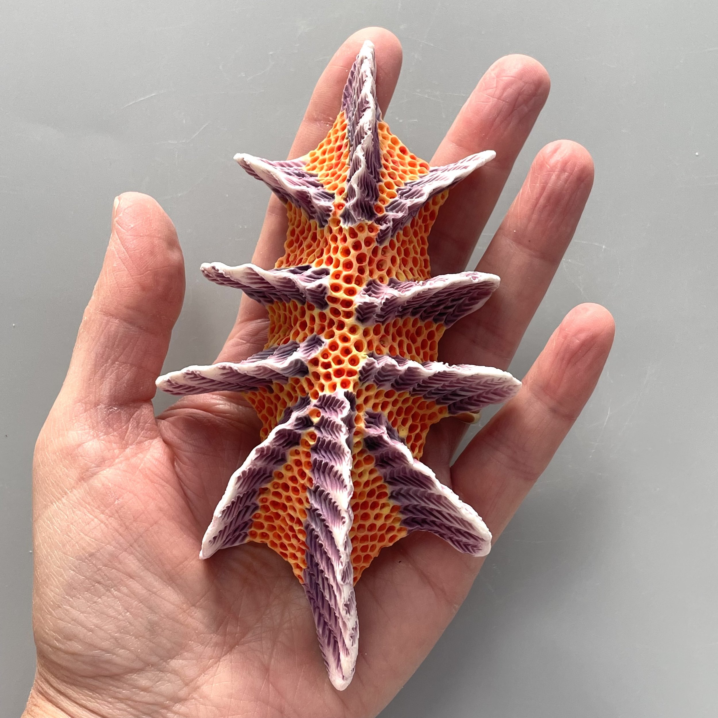 Mini Nudibranch 106