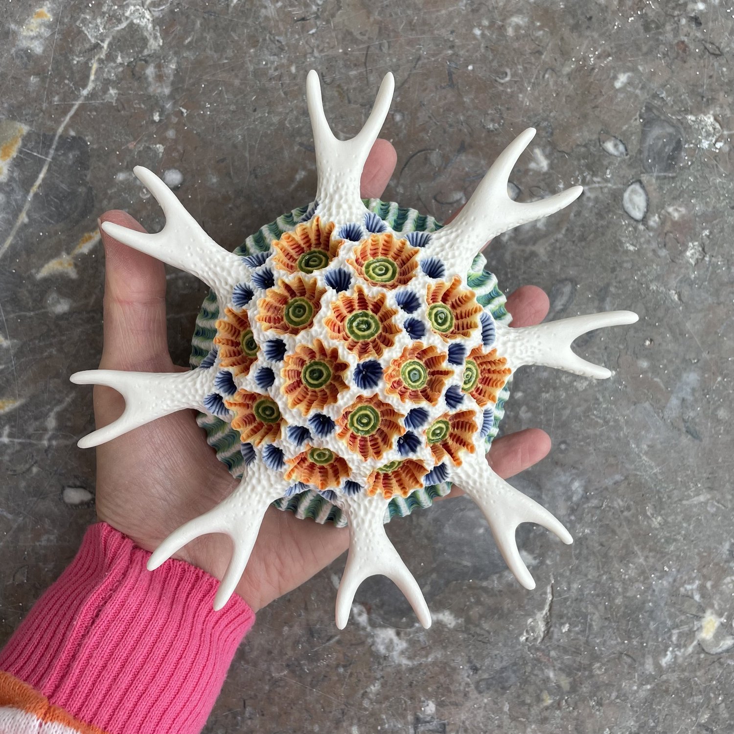 CRESSIDA Coral Moon Wall Sculpture — seaurchin