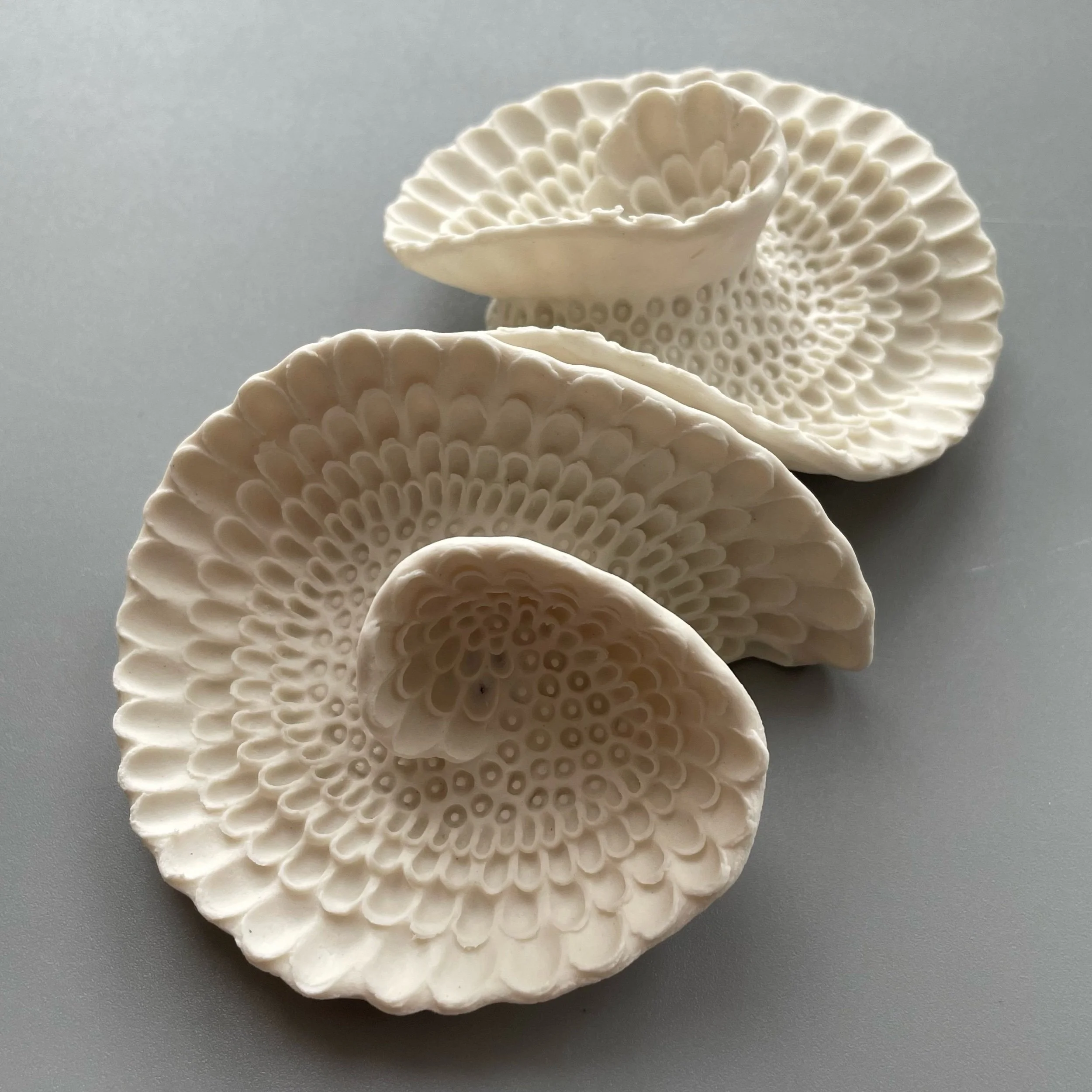 Mini Nudibranch 034