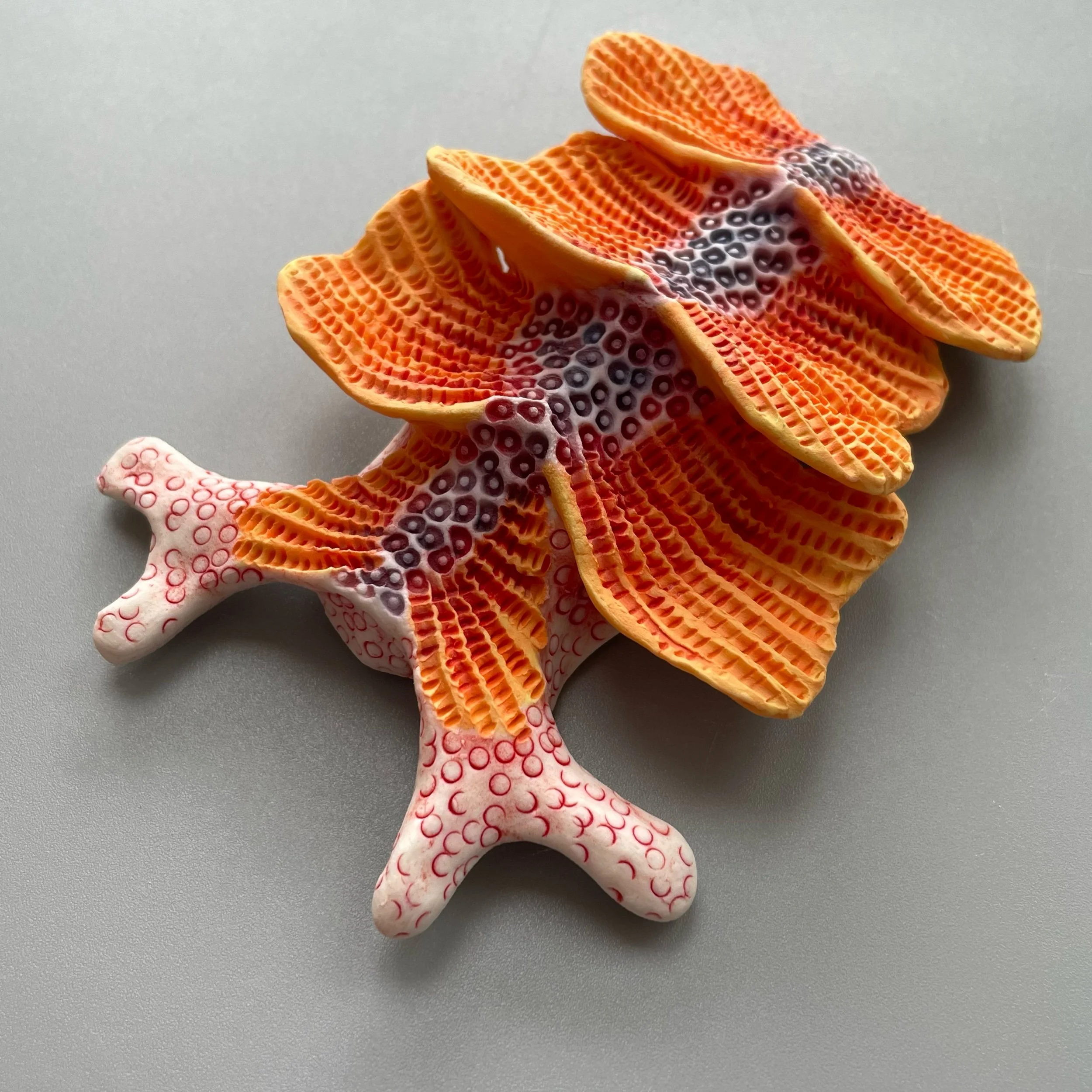 Mini Nudibranch 017