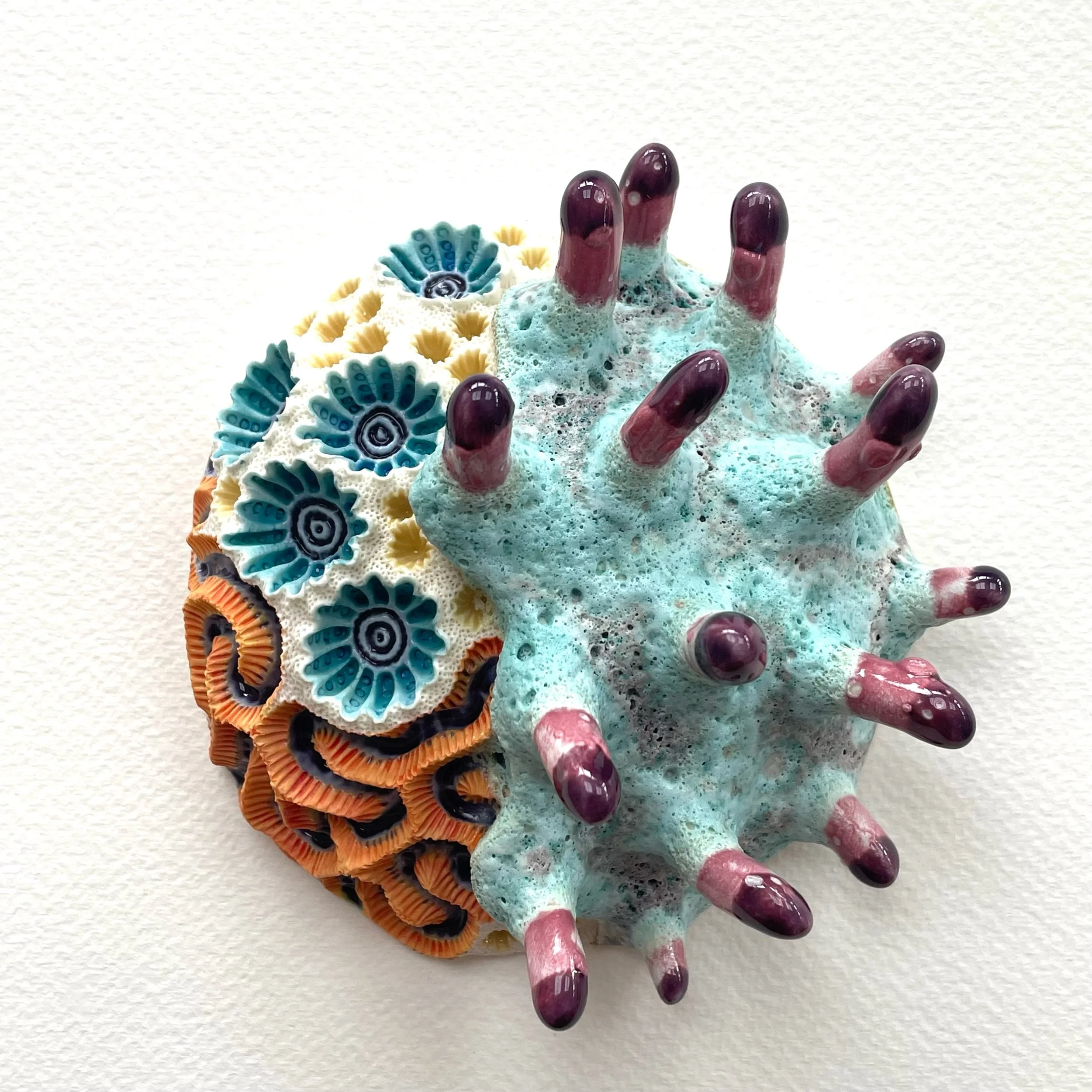 ASBOLUS Asteroid Porcelain Wall Sculpture