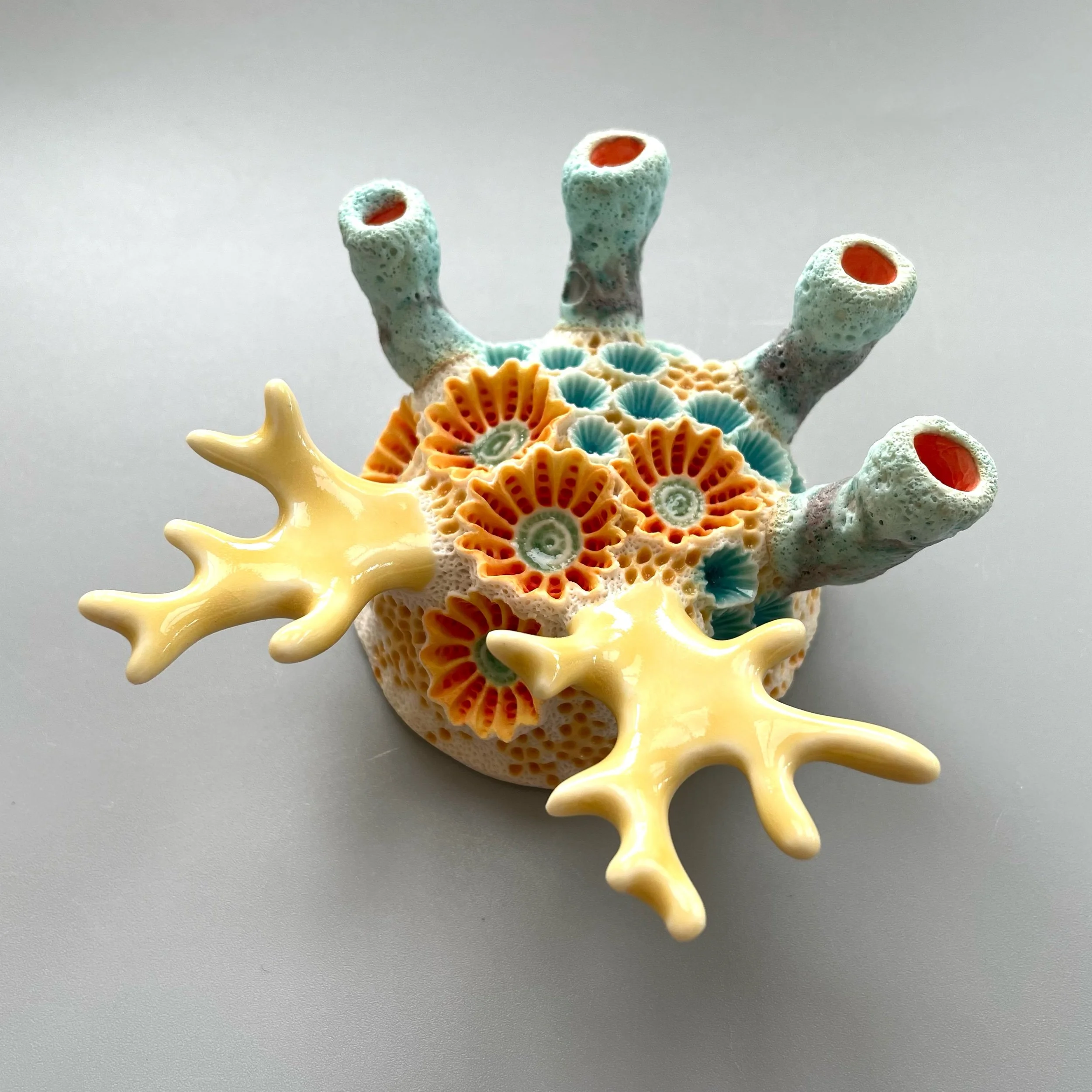 HYRROKKIN Coral Moon Wall Sculpture