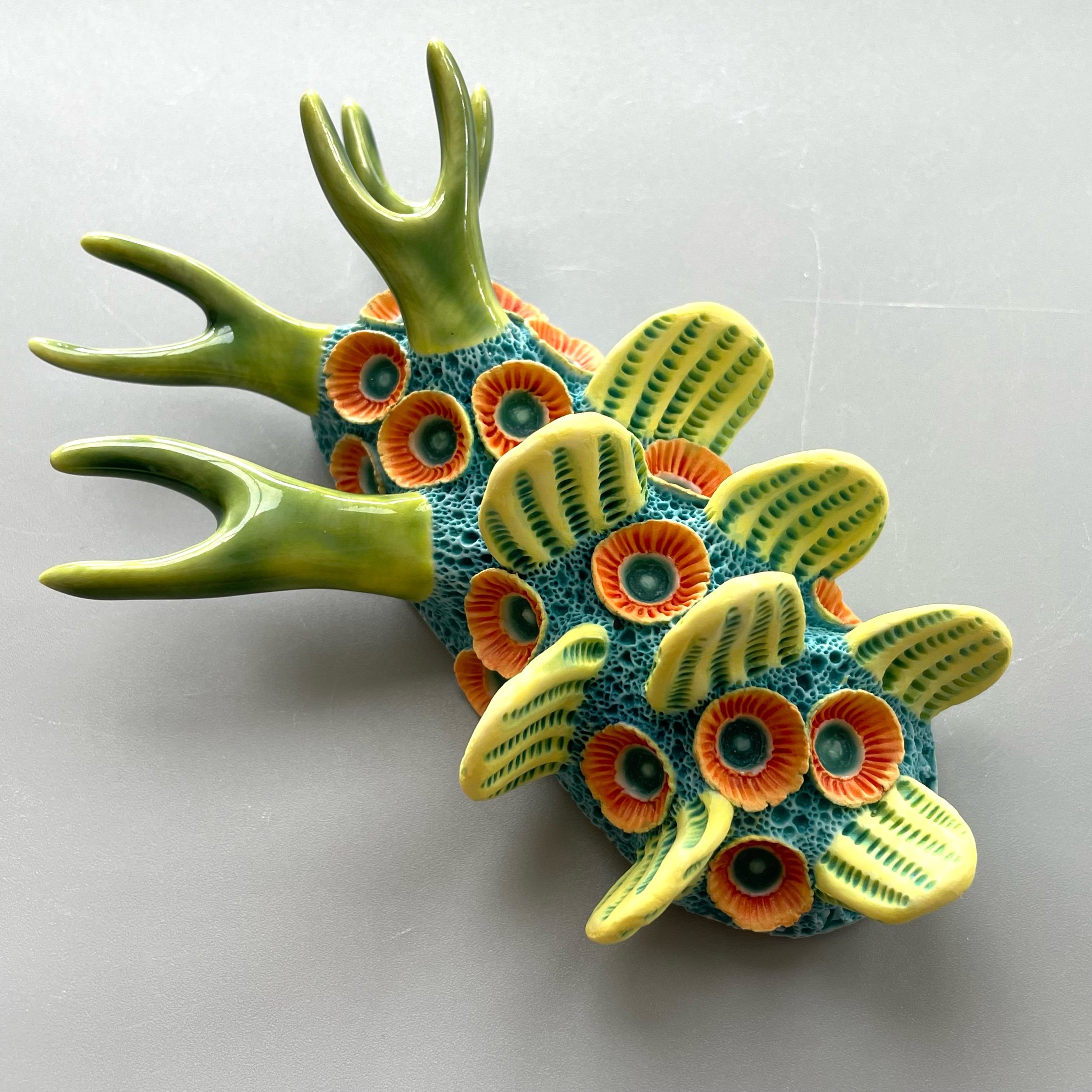 Mini Nudibranch 022