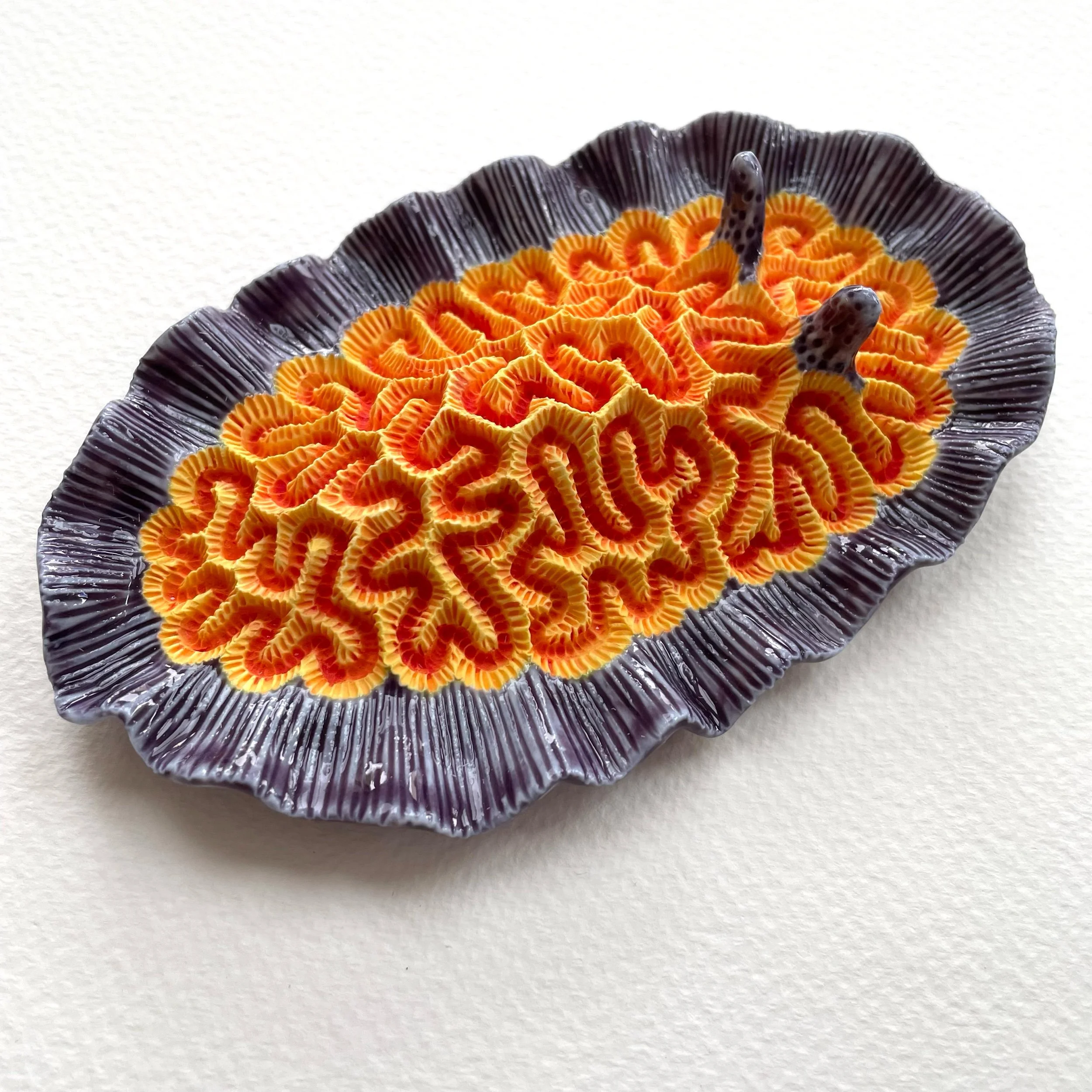 Mini Nudibranch 041