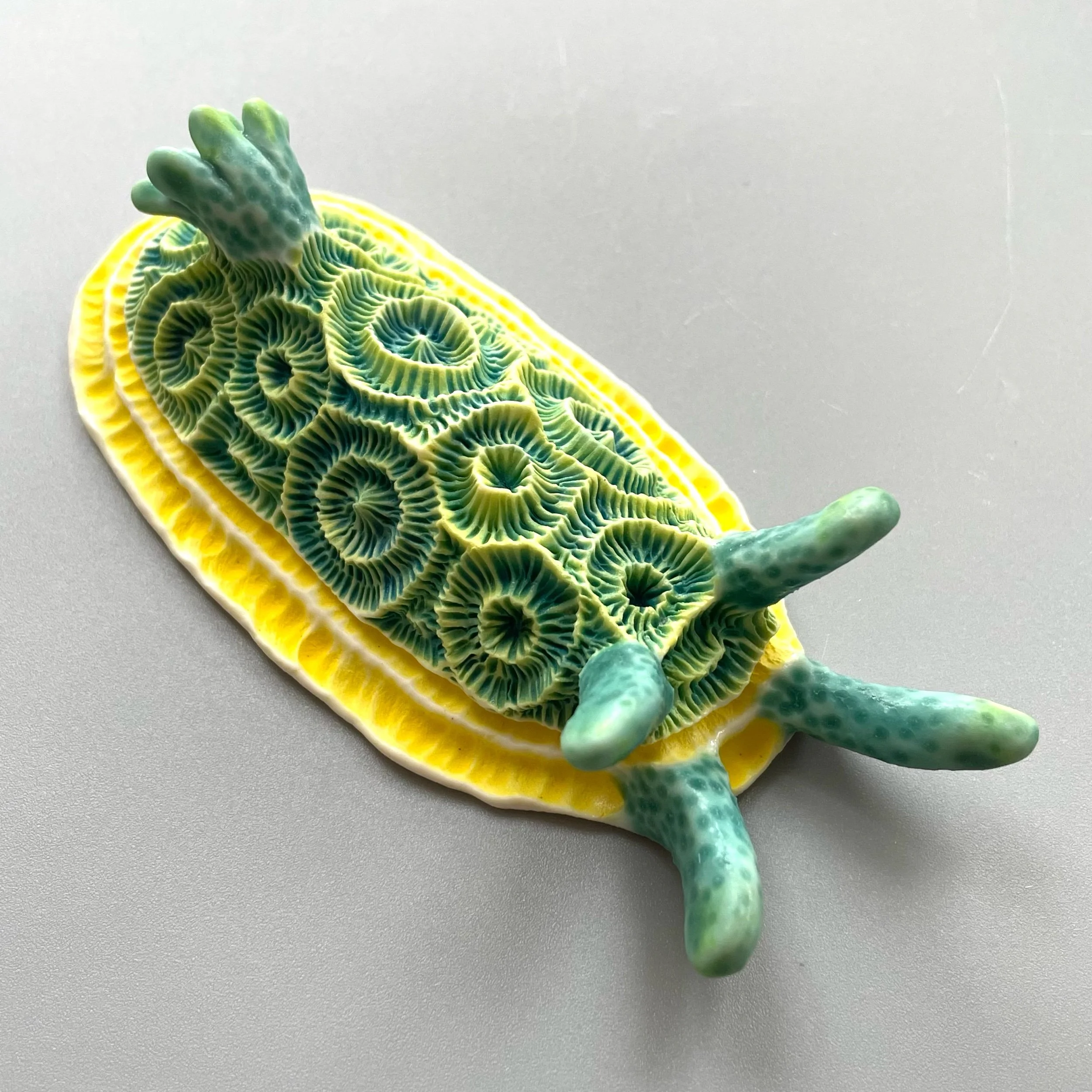 Mini Nudibranch 037
