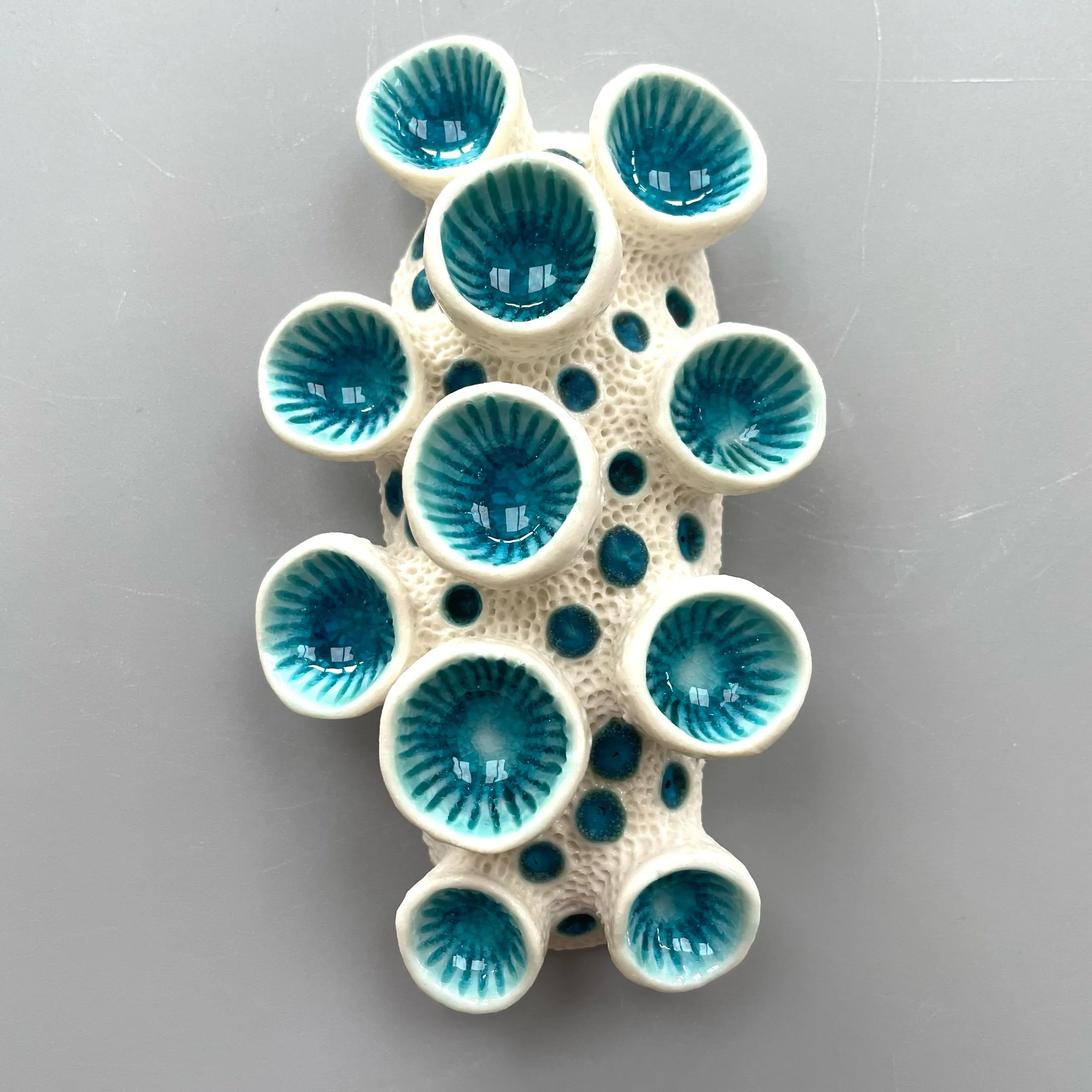 Mini Nudibranch 039