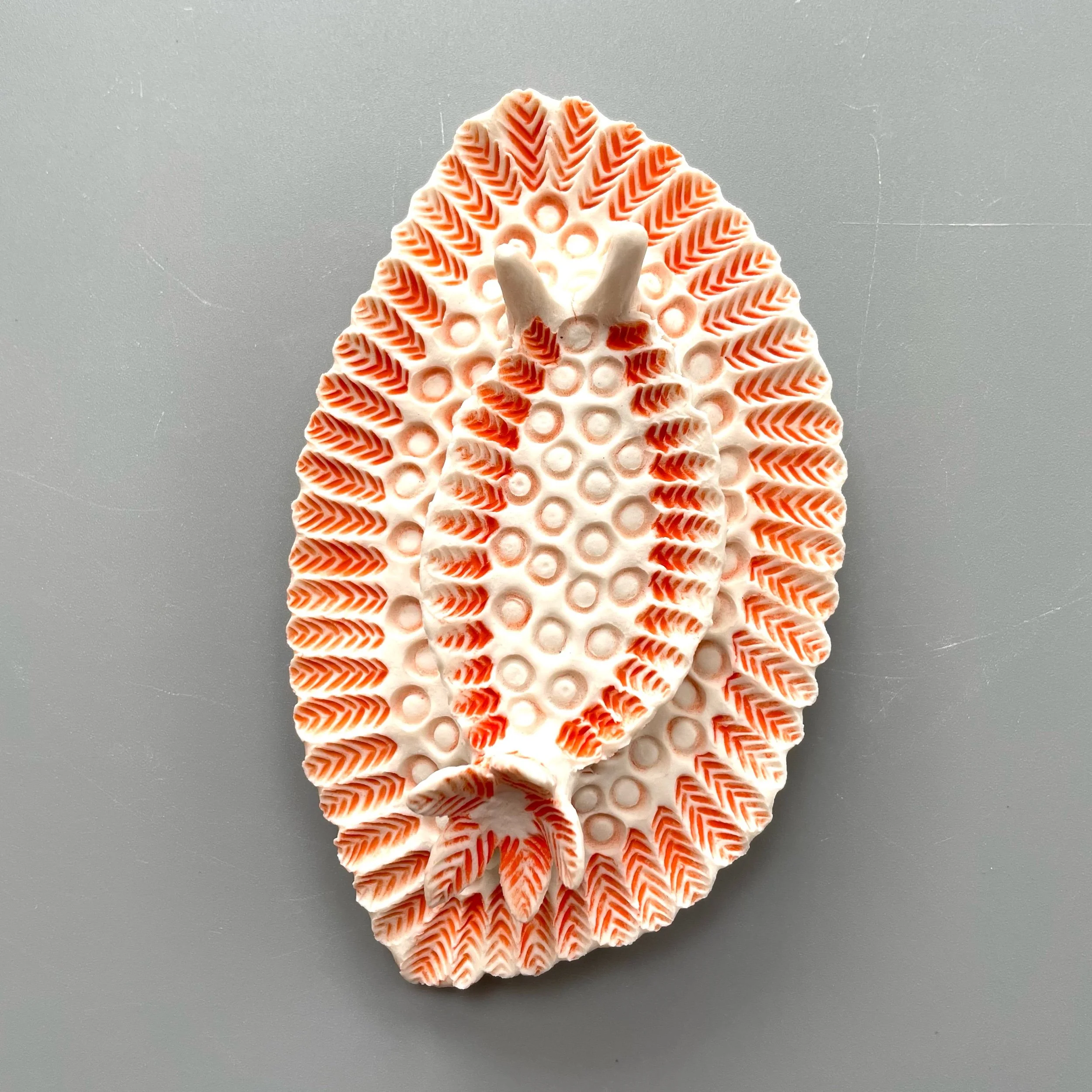 Mini Nudibranch 057