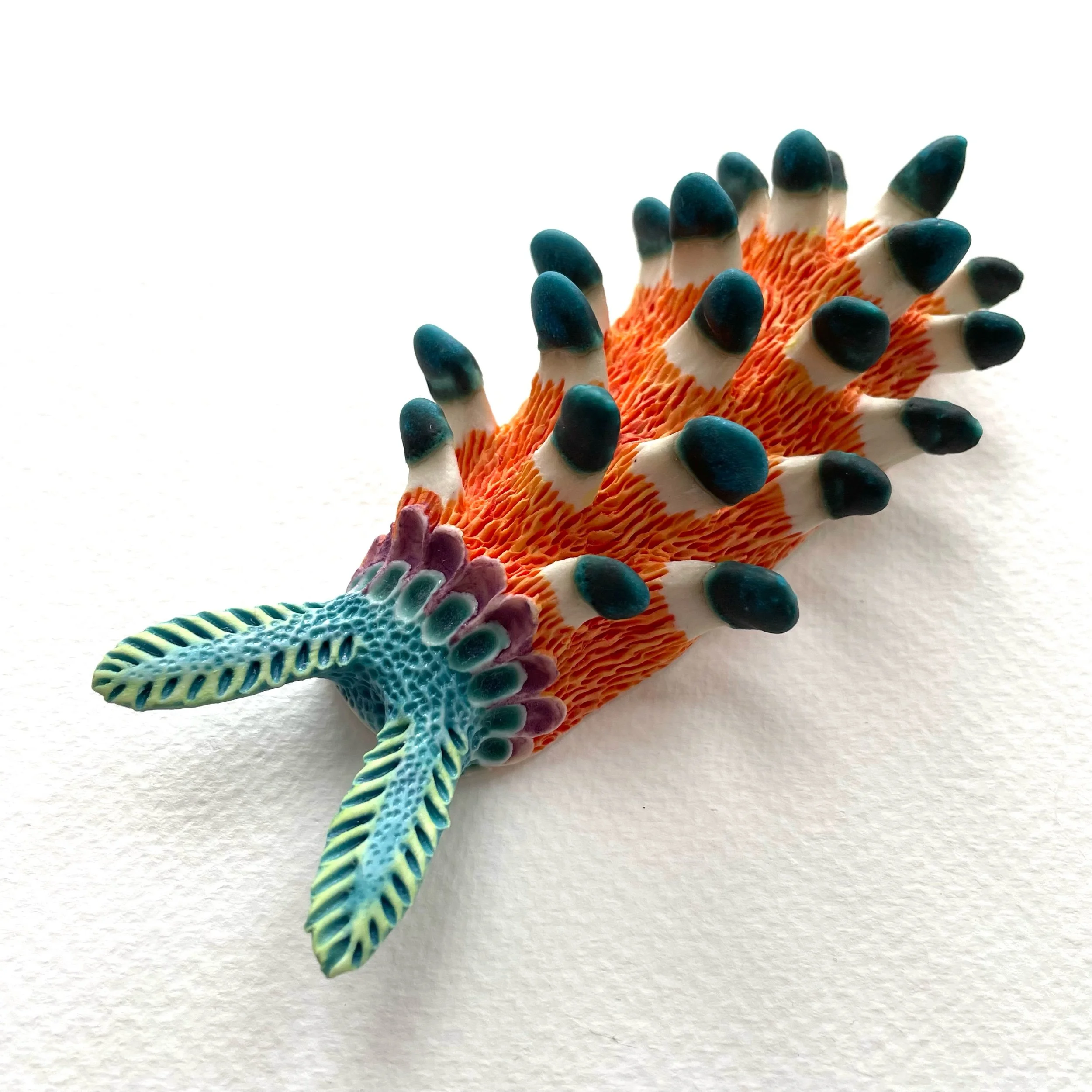 Mini Nudibranch 001