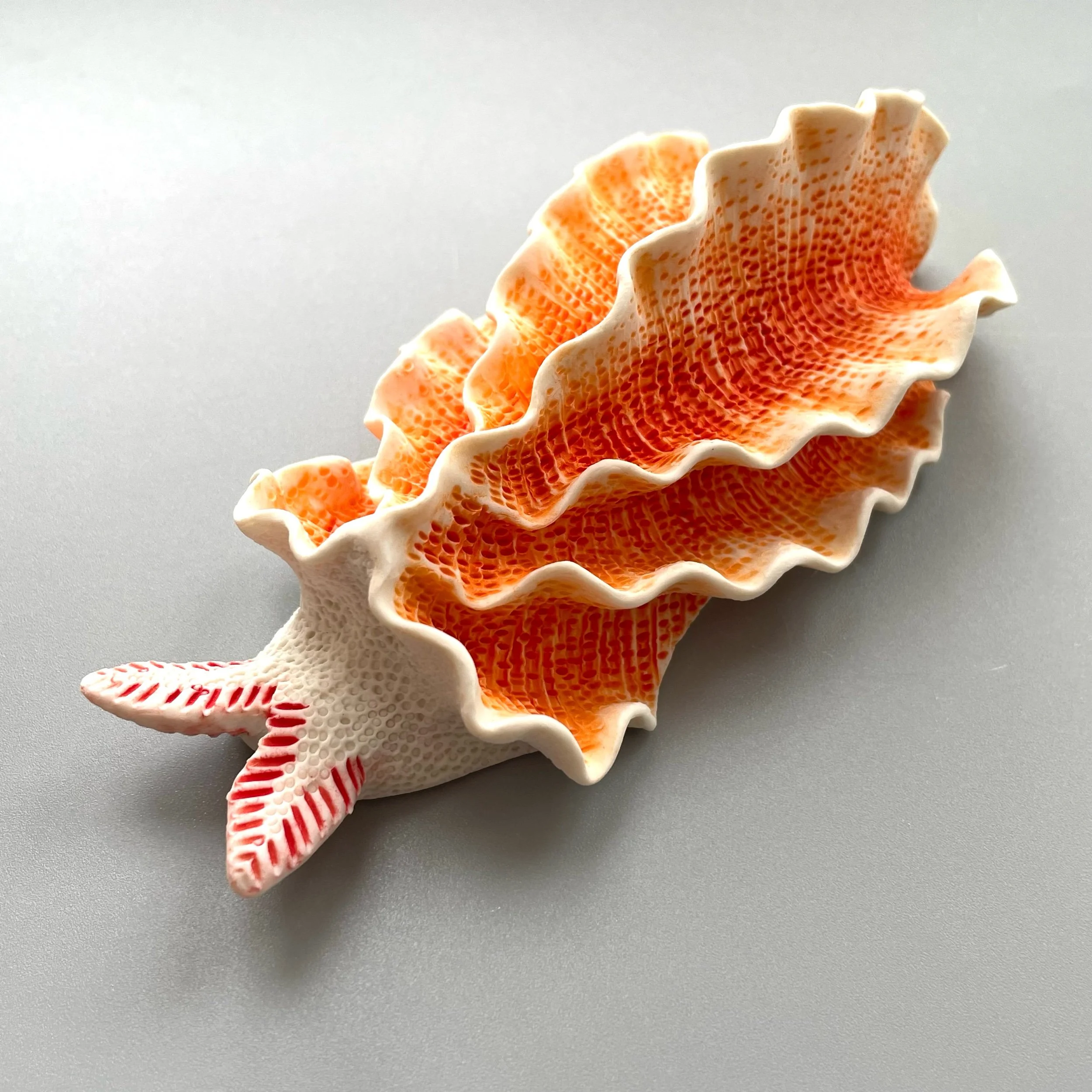Mini Nudibranch 048