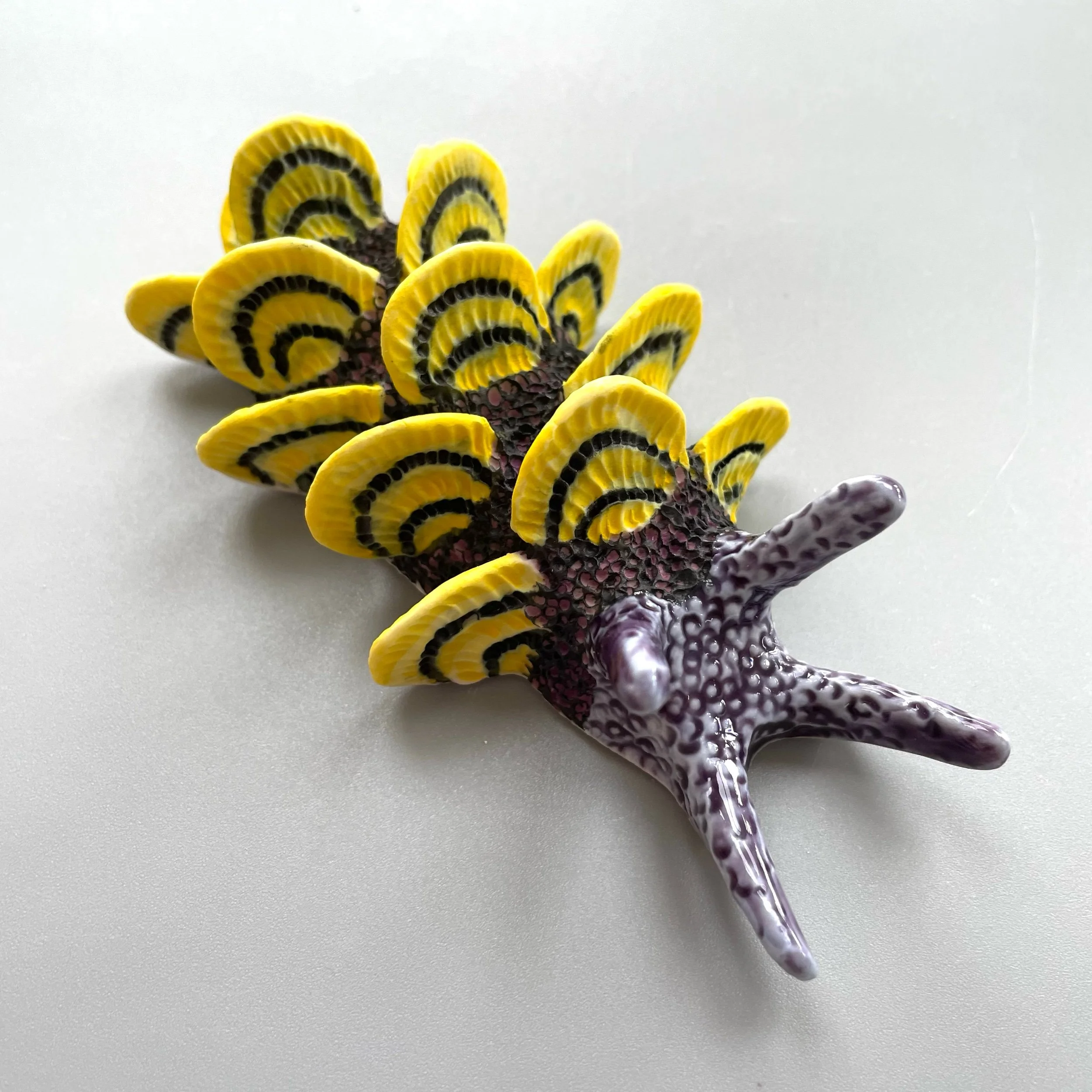 Mini Nudibranch 059