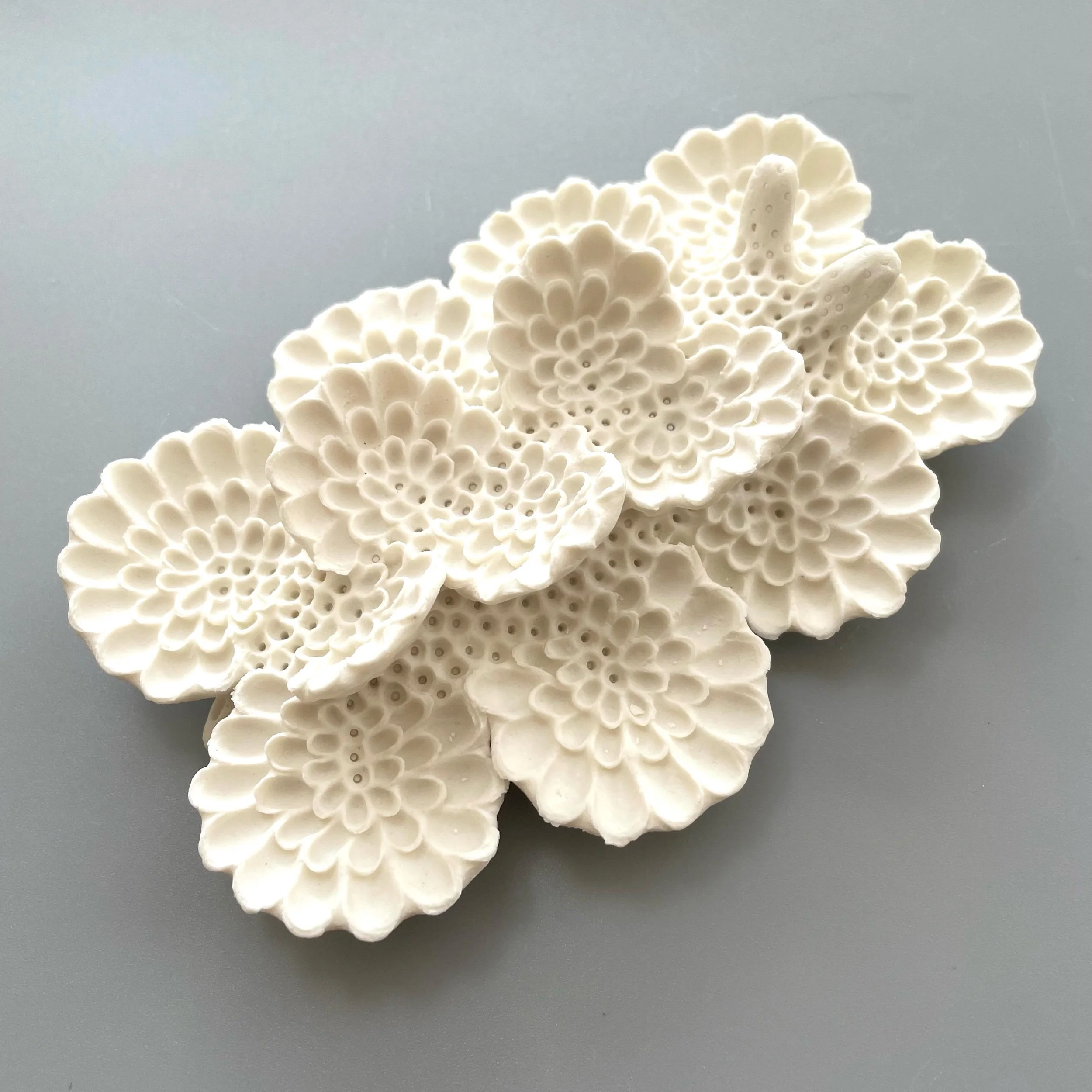 Mini Nudibranch 040