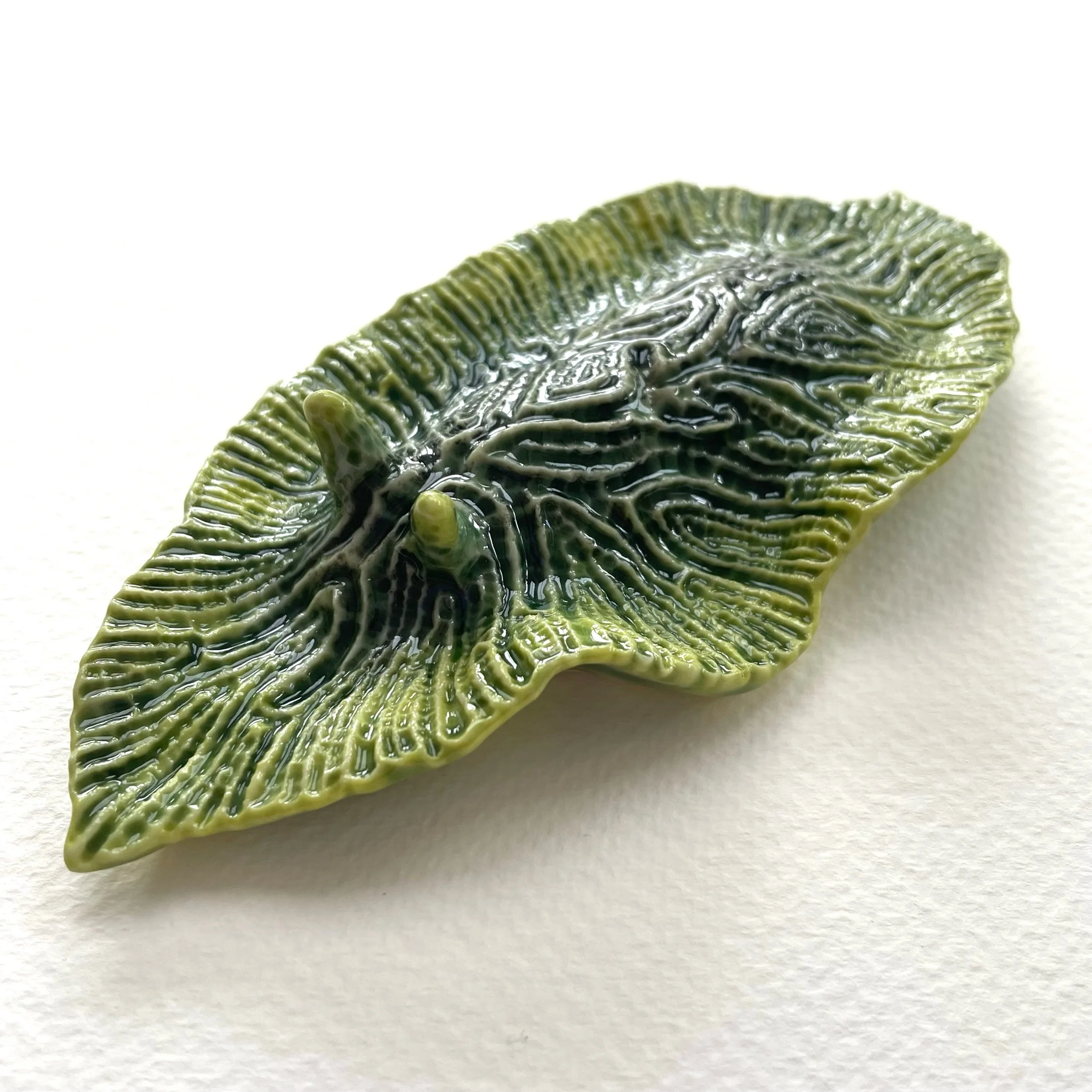Mini Nudibranch 044