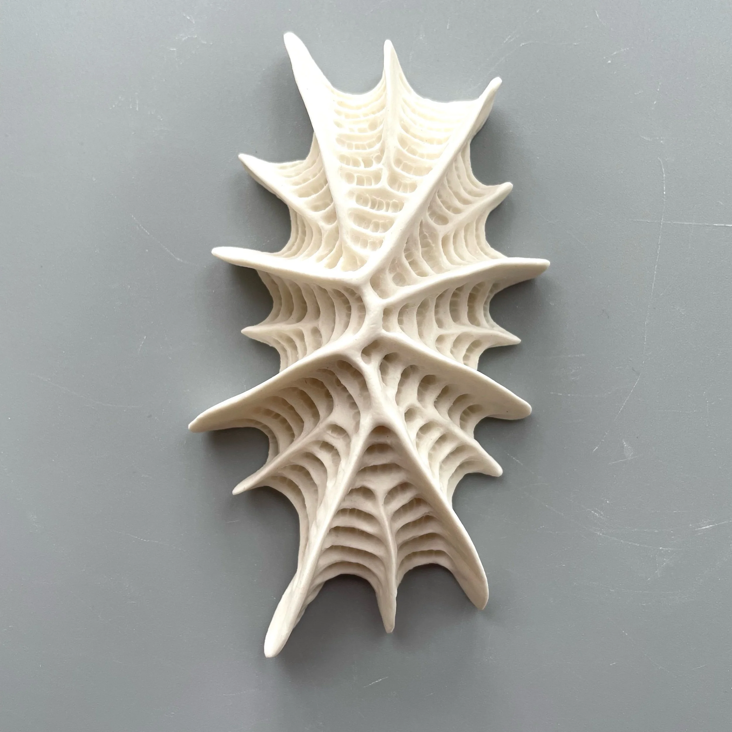 Mini Nudibranch 047
