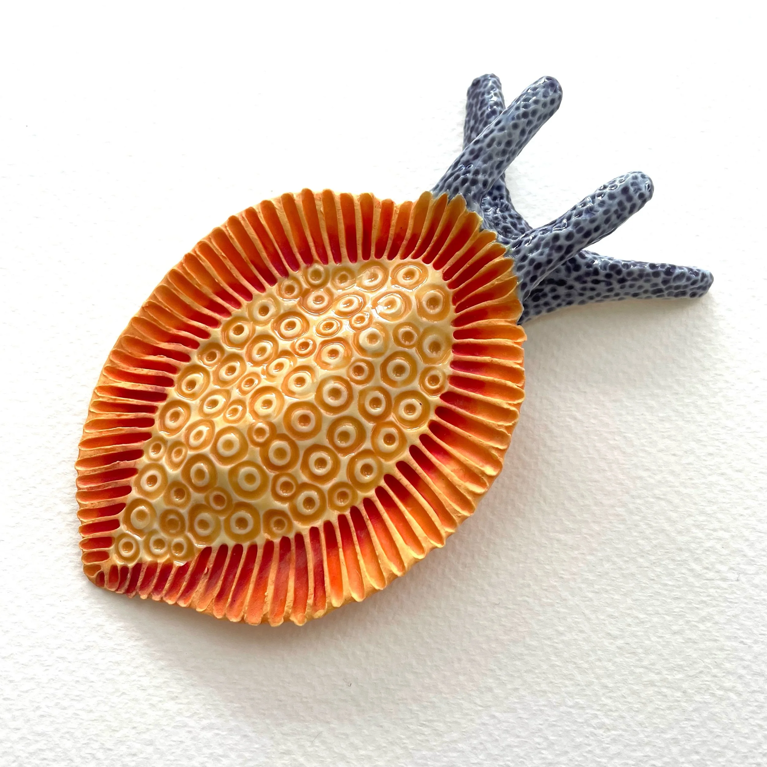 Mini Nudibranch 049