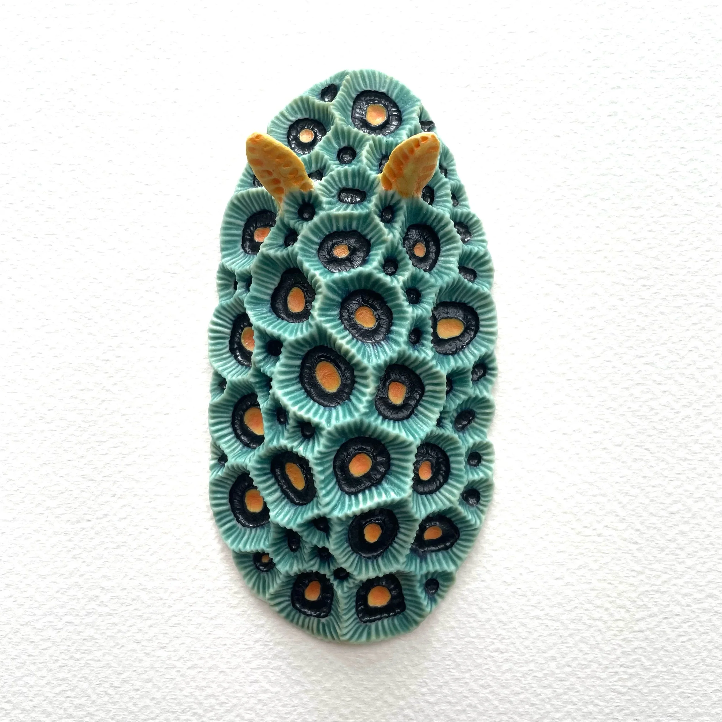 Mini Nudibranch 053