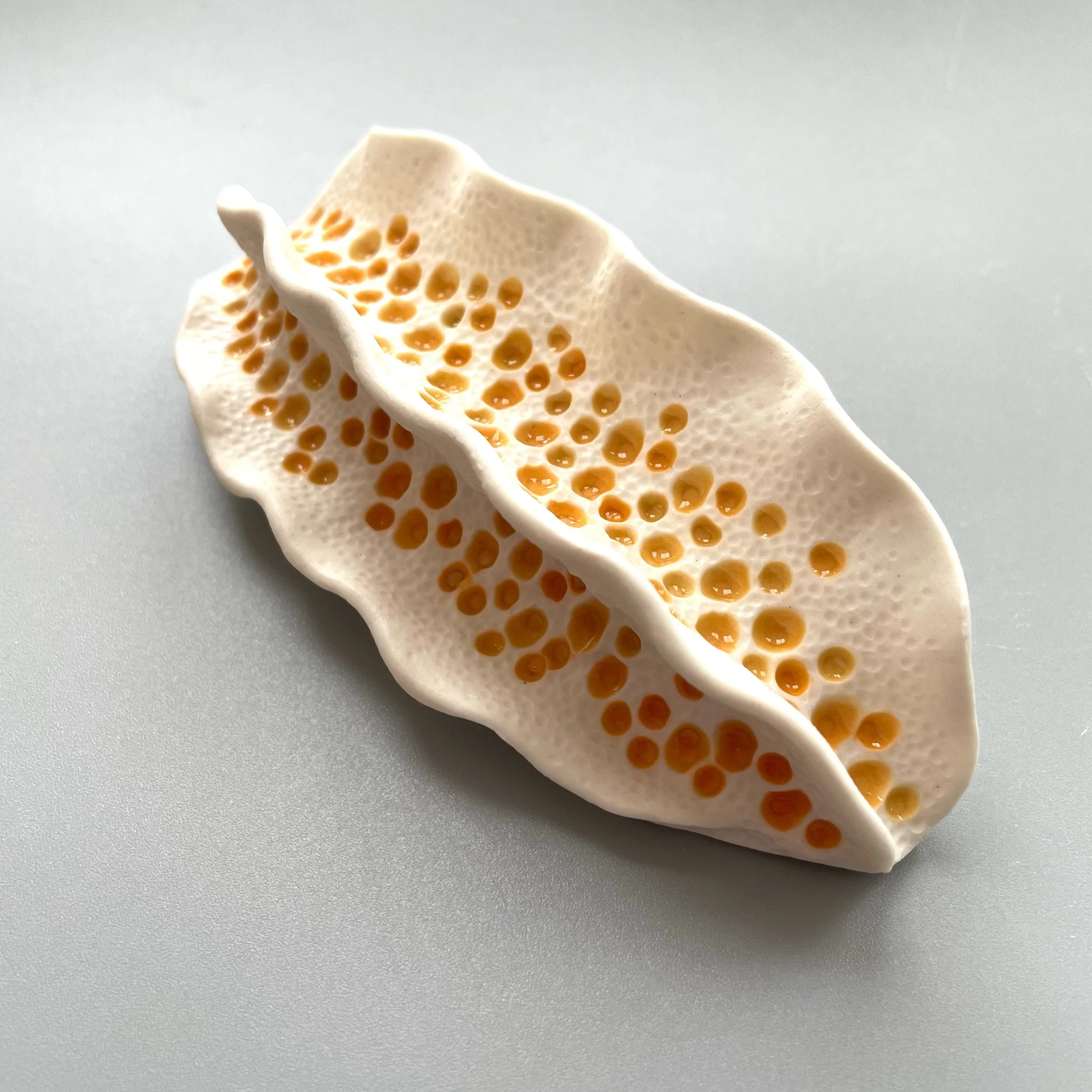Mini Nudibranch 062