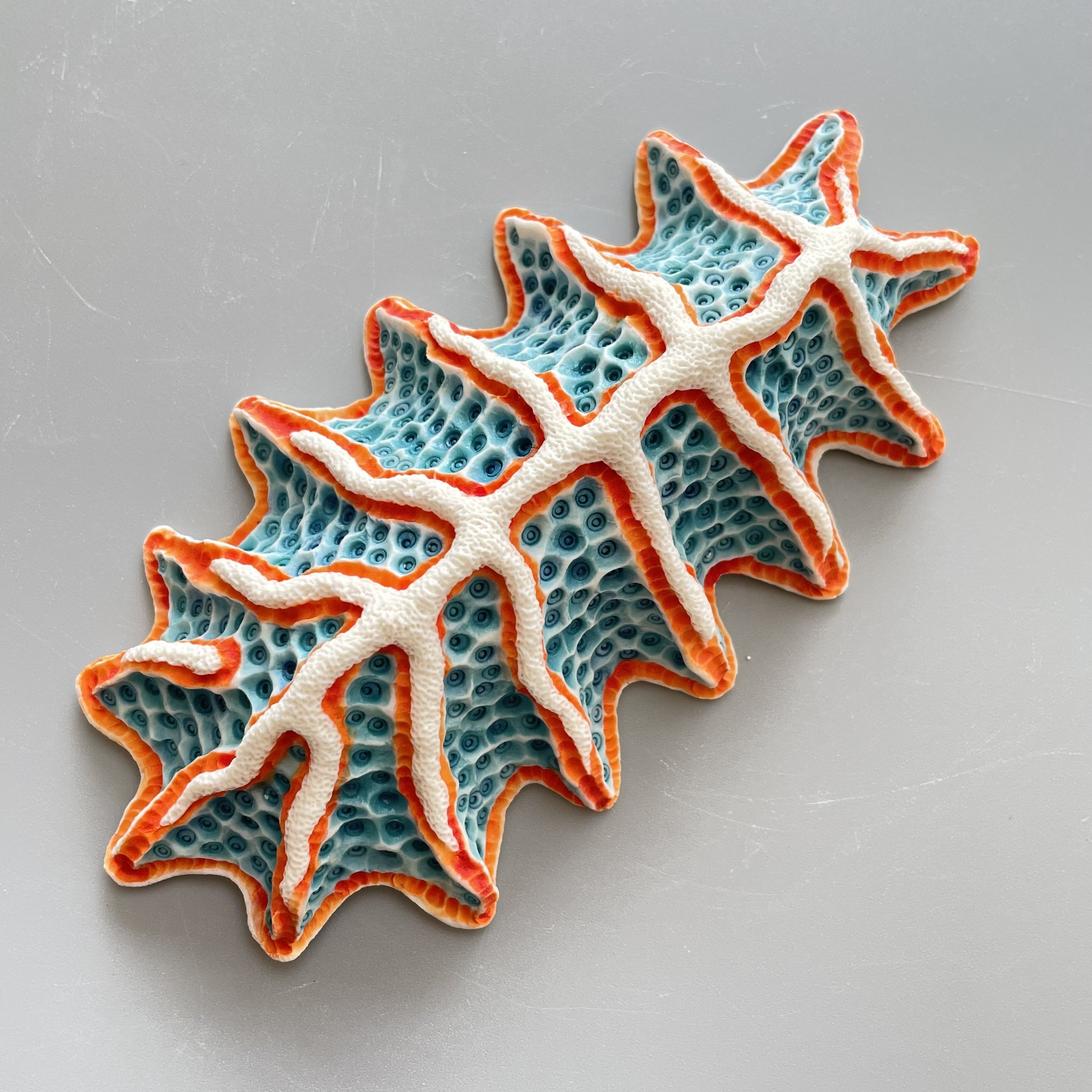 Mini Nudibranch 045