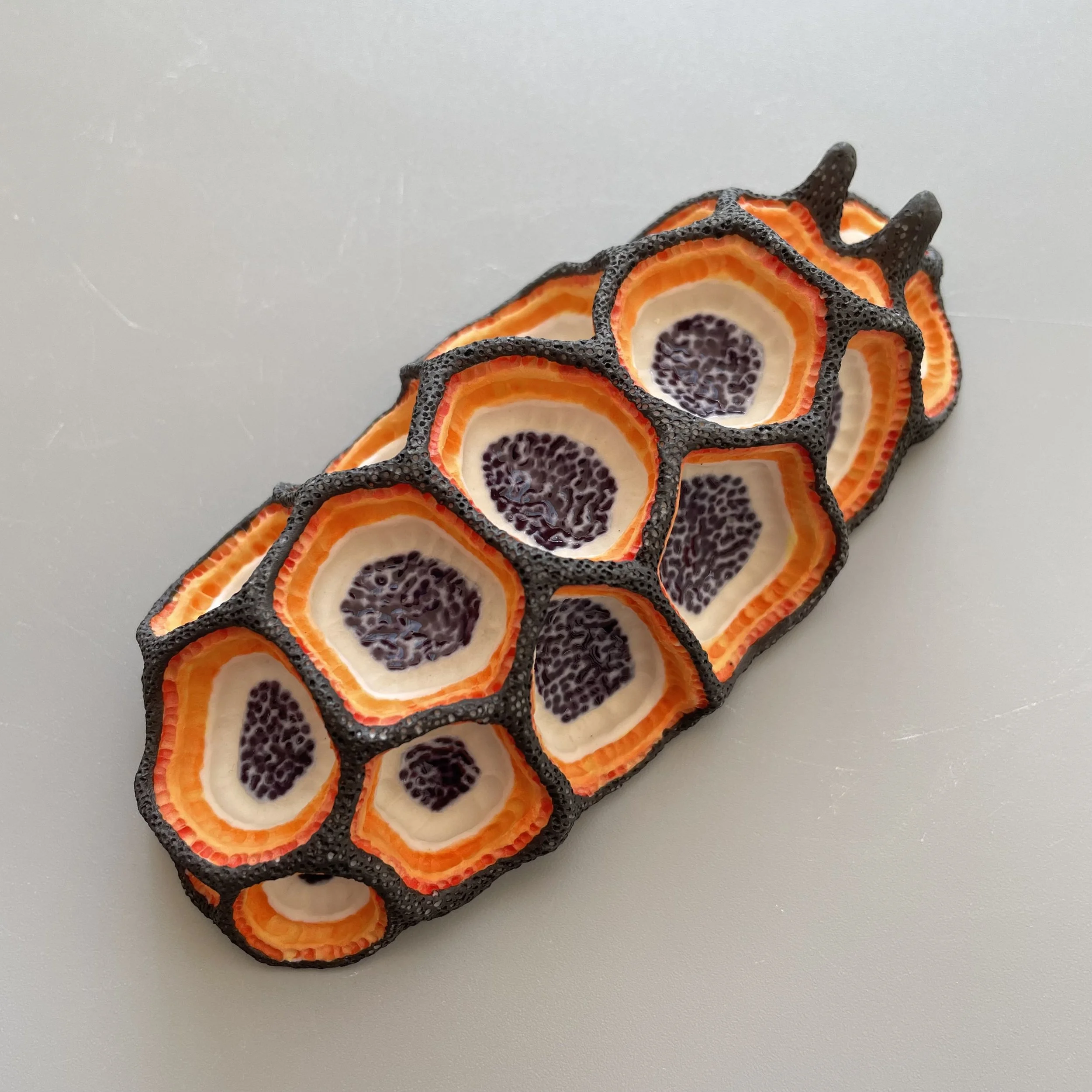 Mini Nudibranch 030
