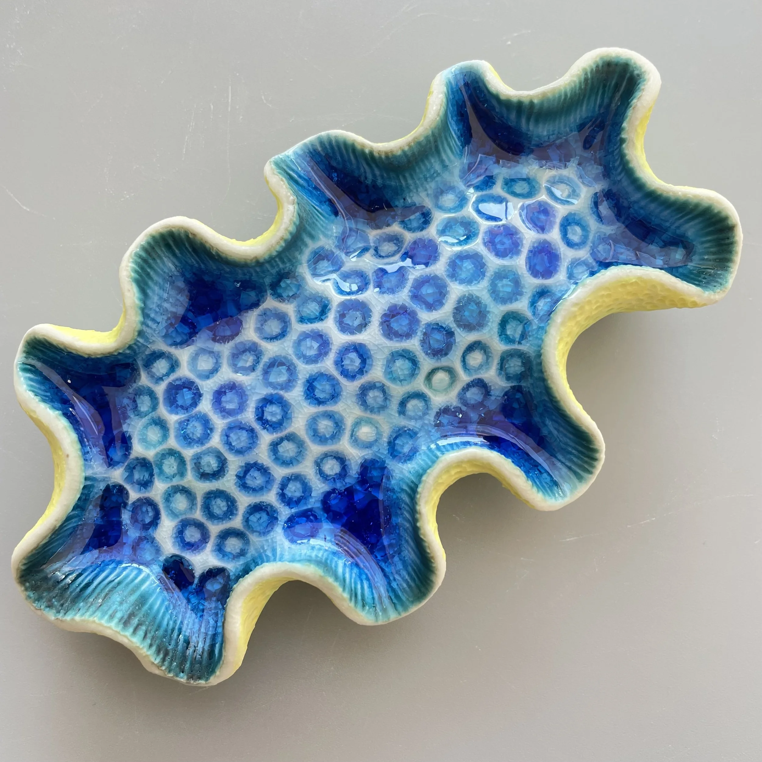 Mini Nudibranch 098