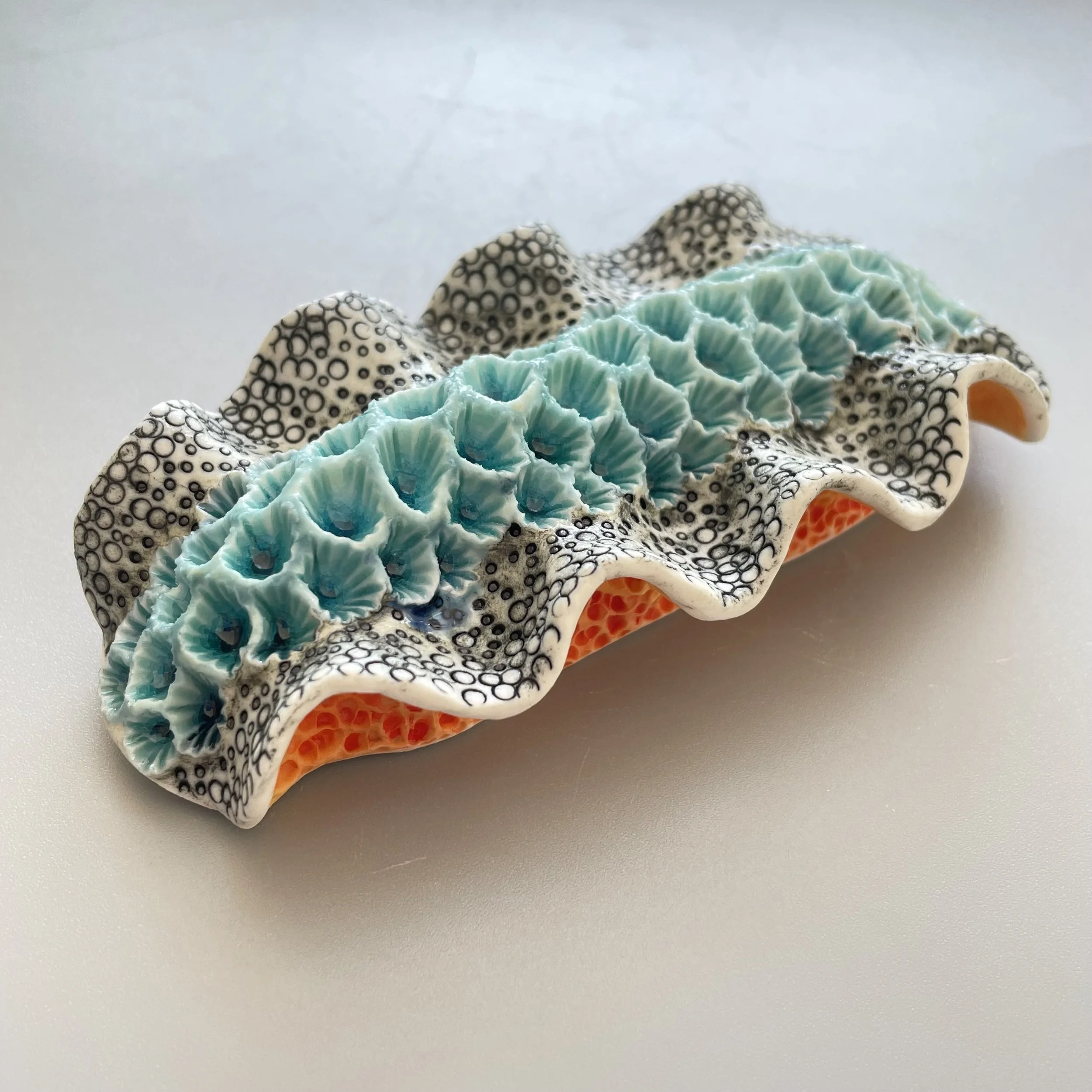 Mini Nudibranch 014