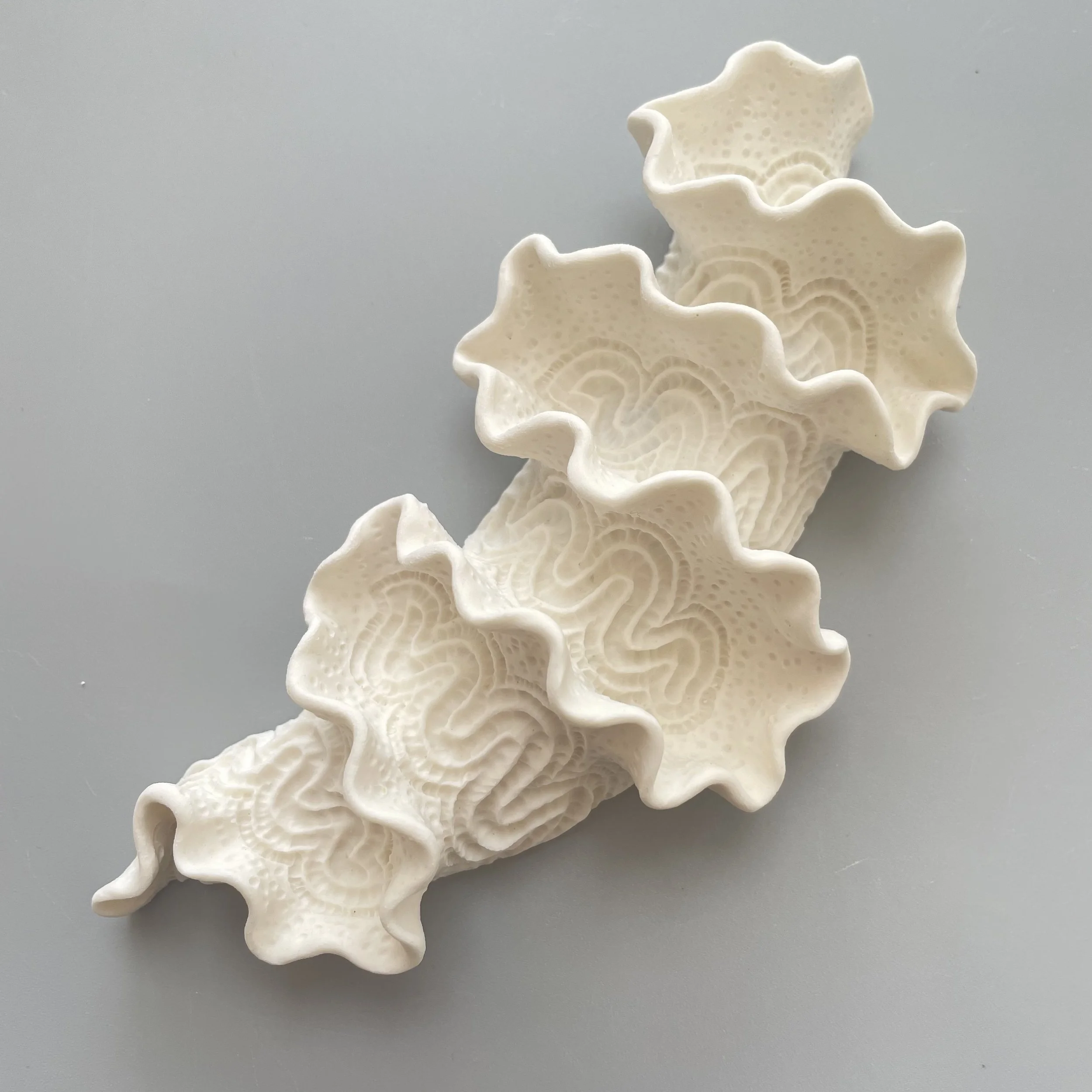 Mini Nudibranch 084