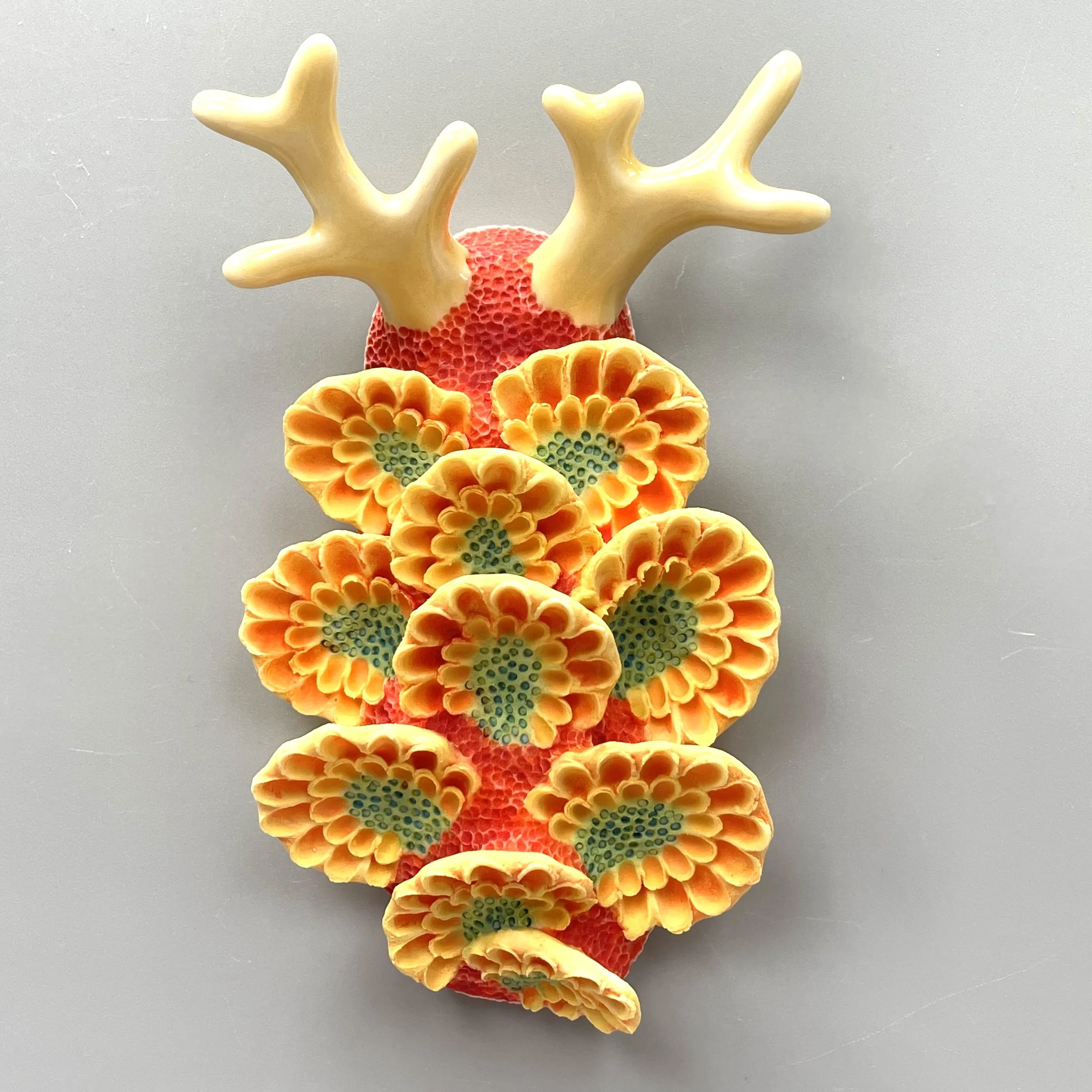 Mini Nudibranch 064