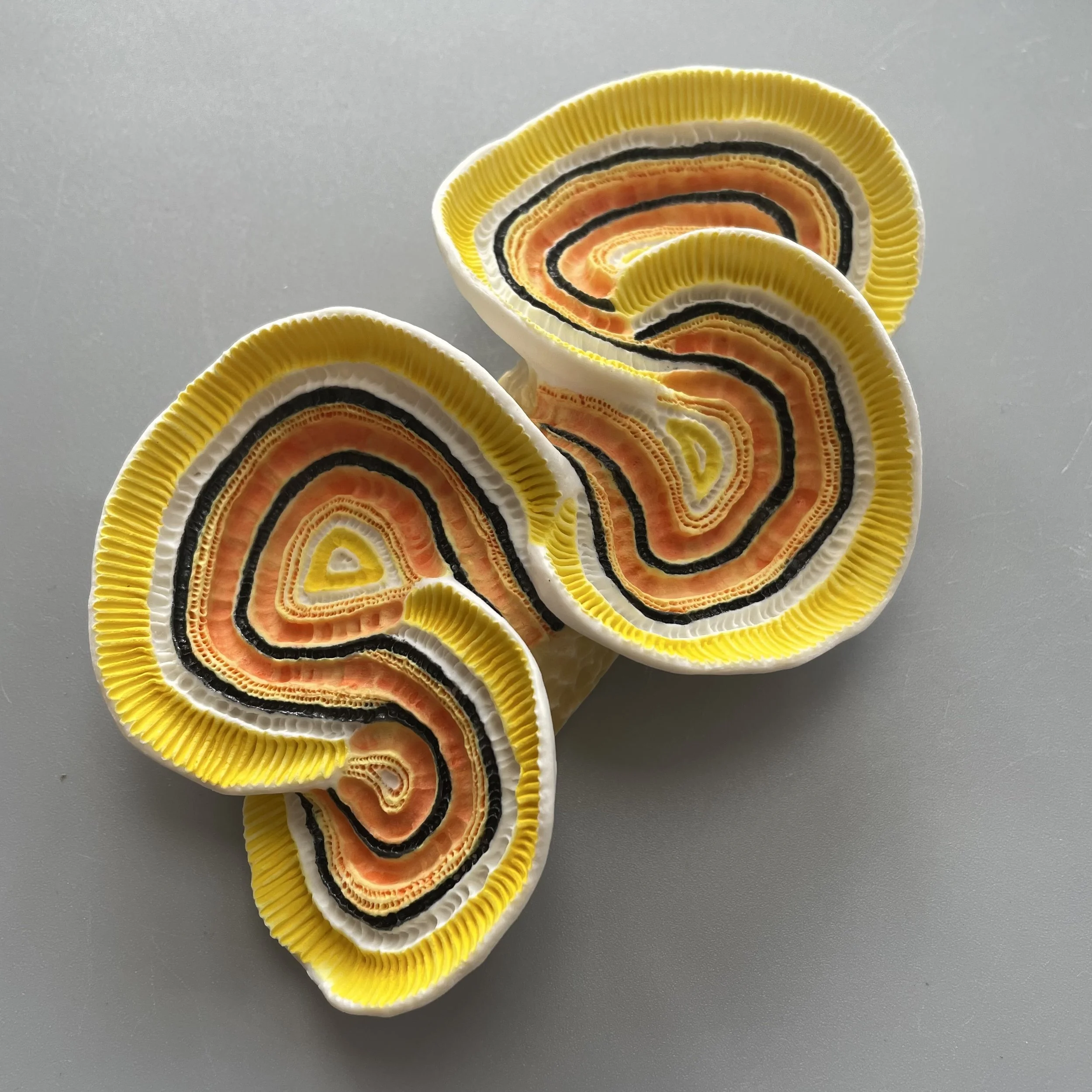 Mini Nudibranch 067