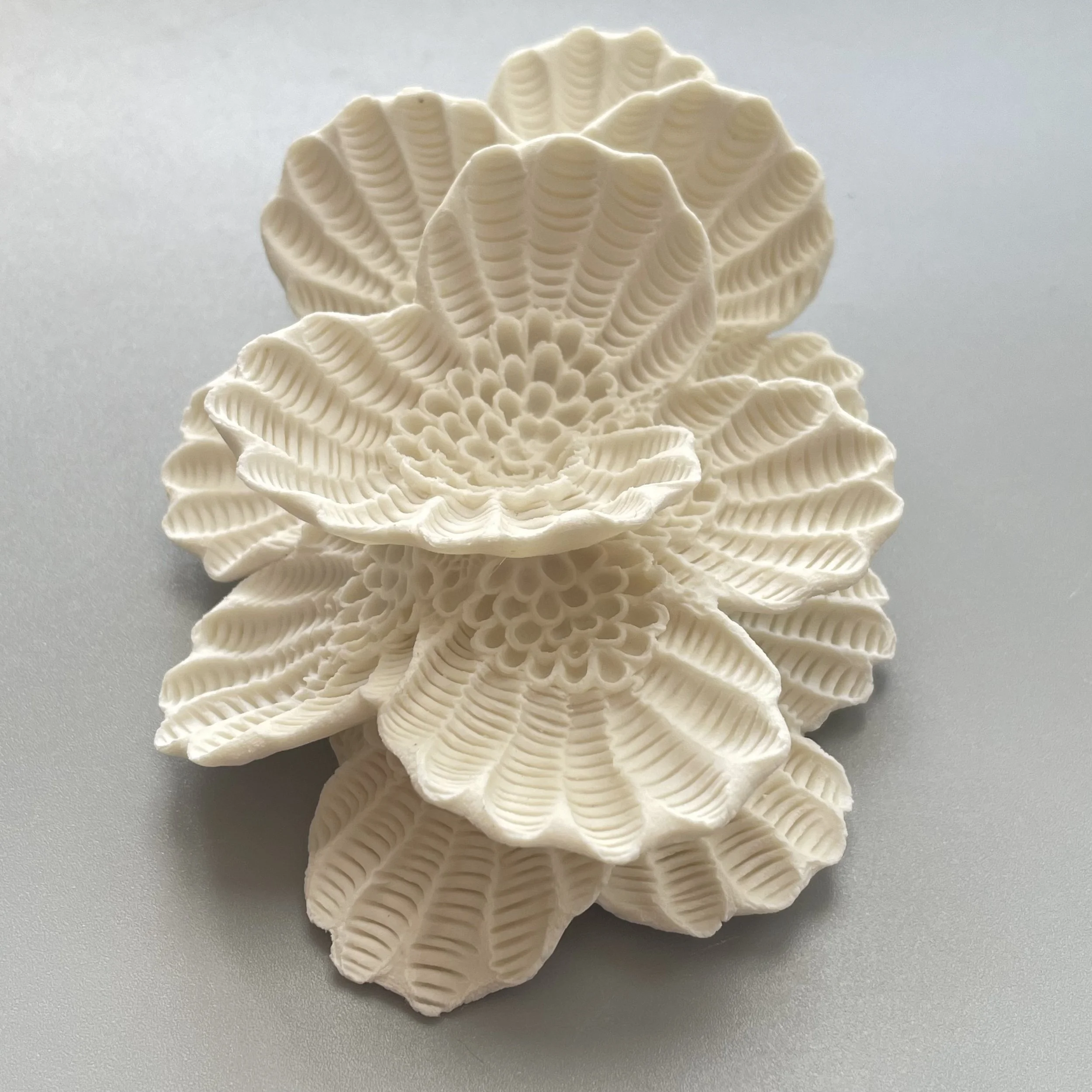Mini Nudibranch 083