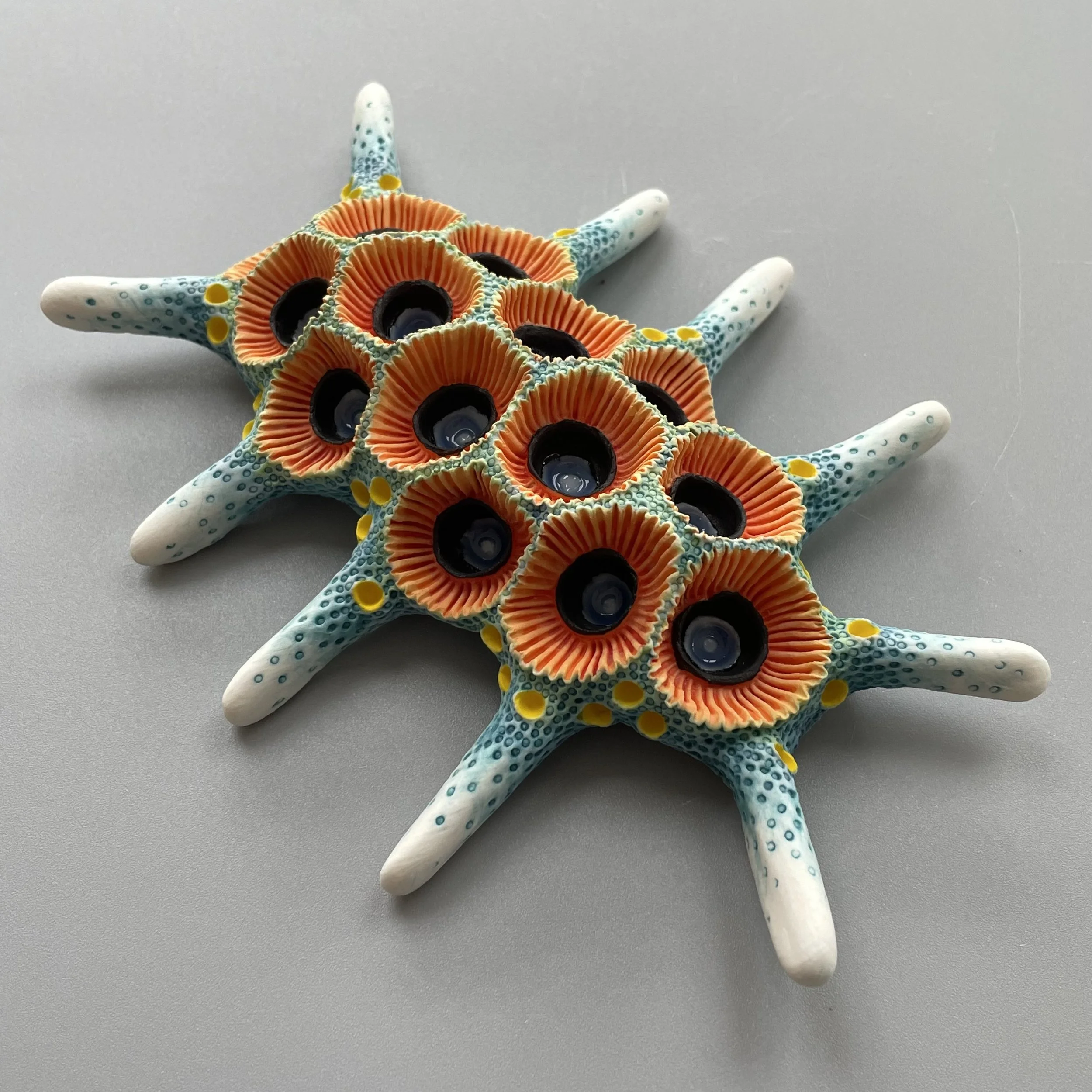 Mini Nudibranch 033