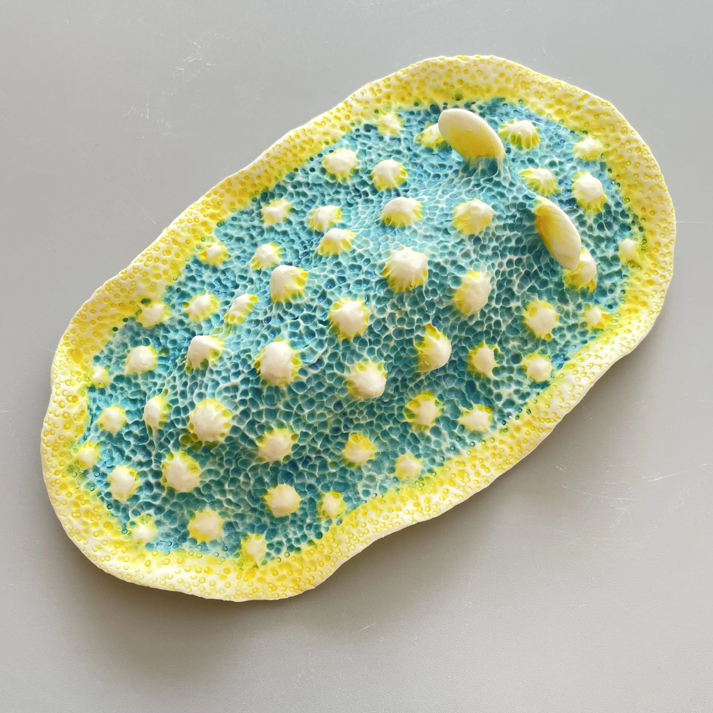 Mini Nudibranch 016