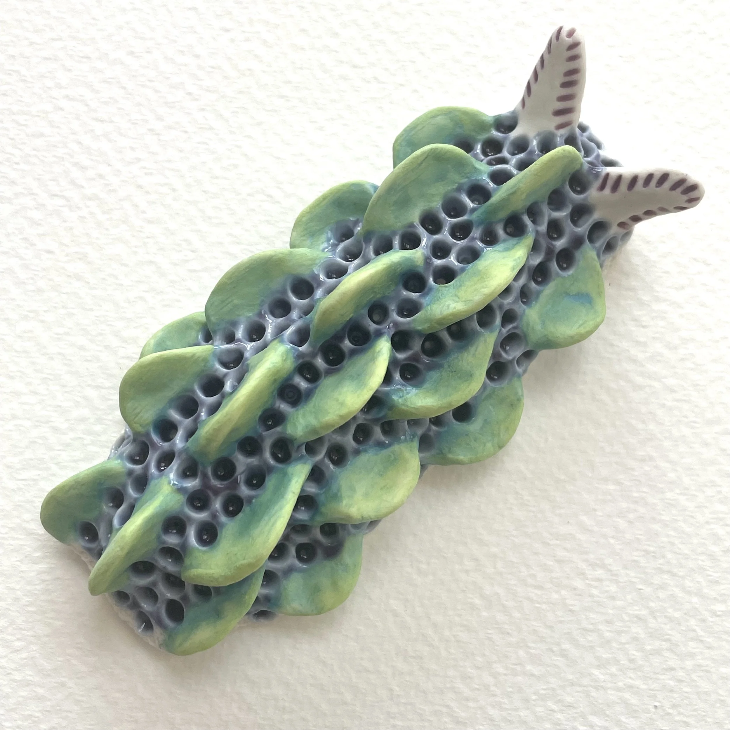 Mini Nudibranch 038