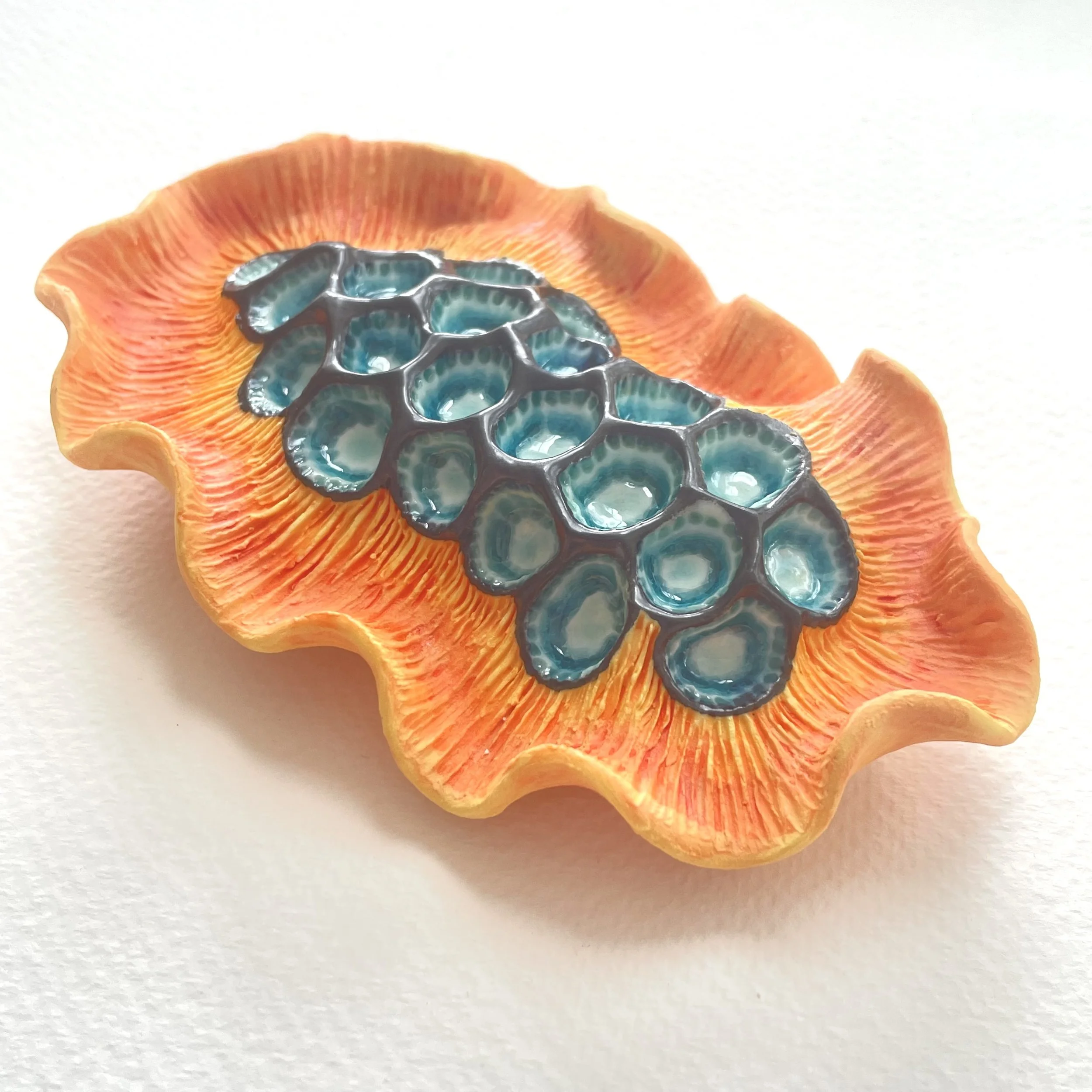 Mini Nudibranch 078