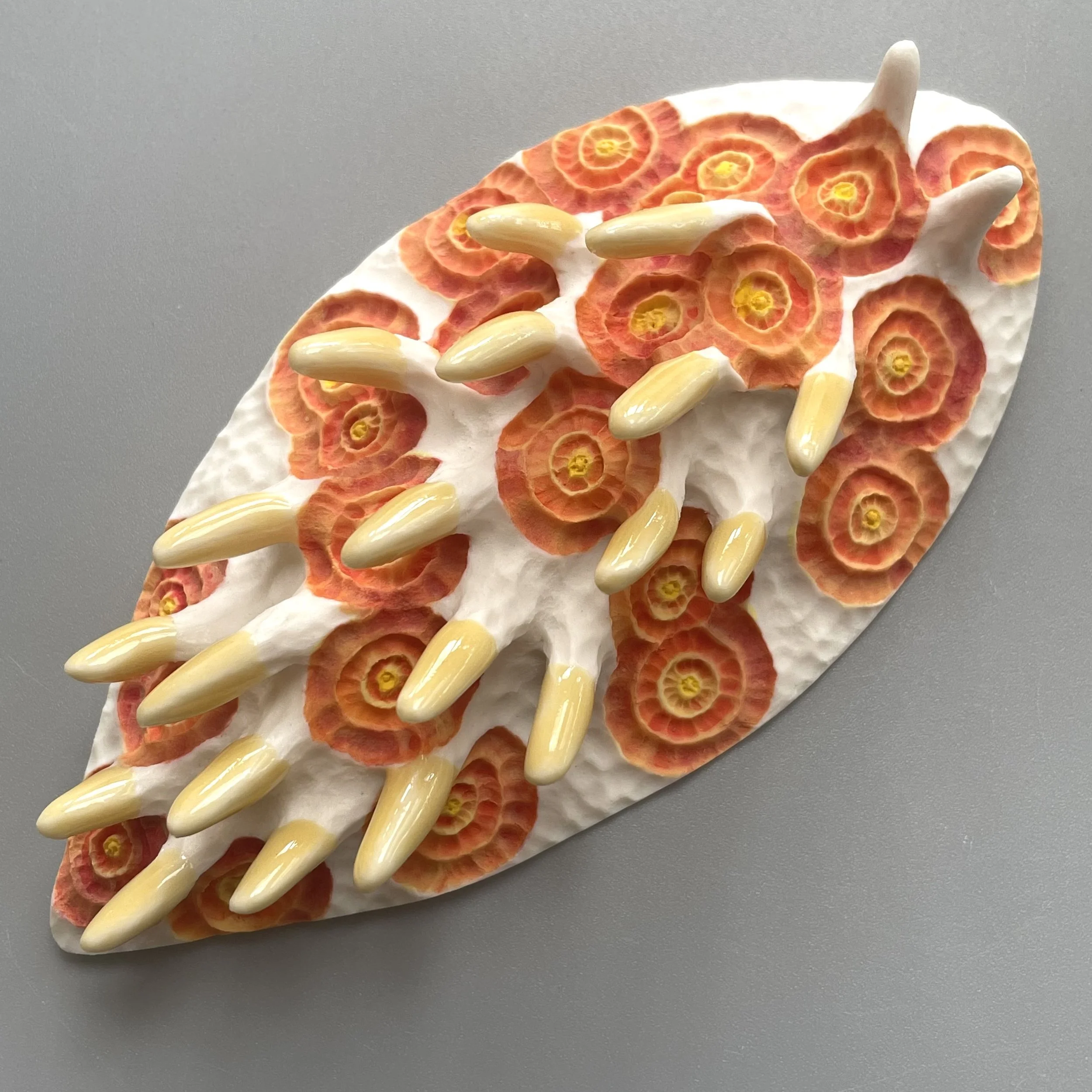 Mini Nudibranch 056
