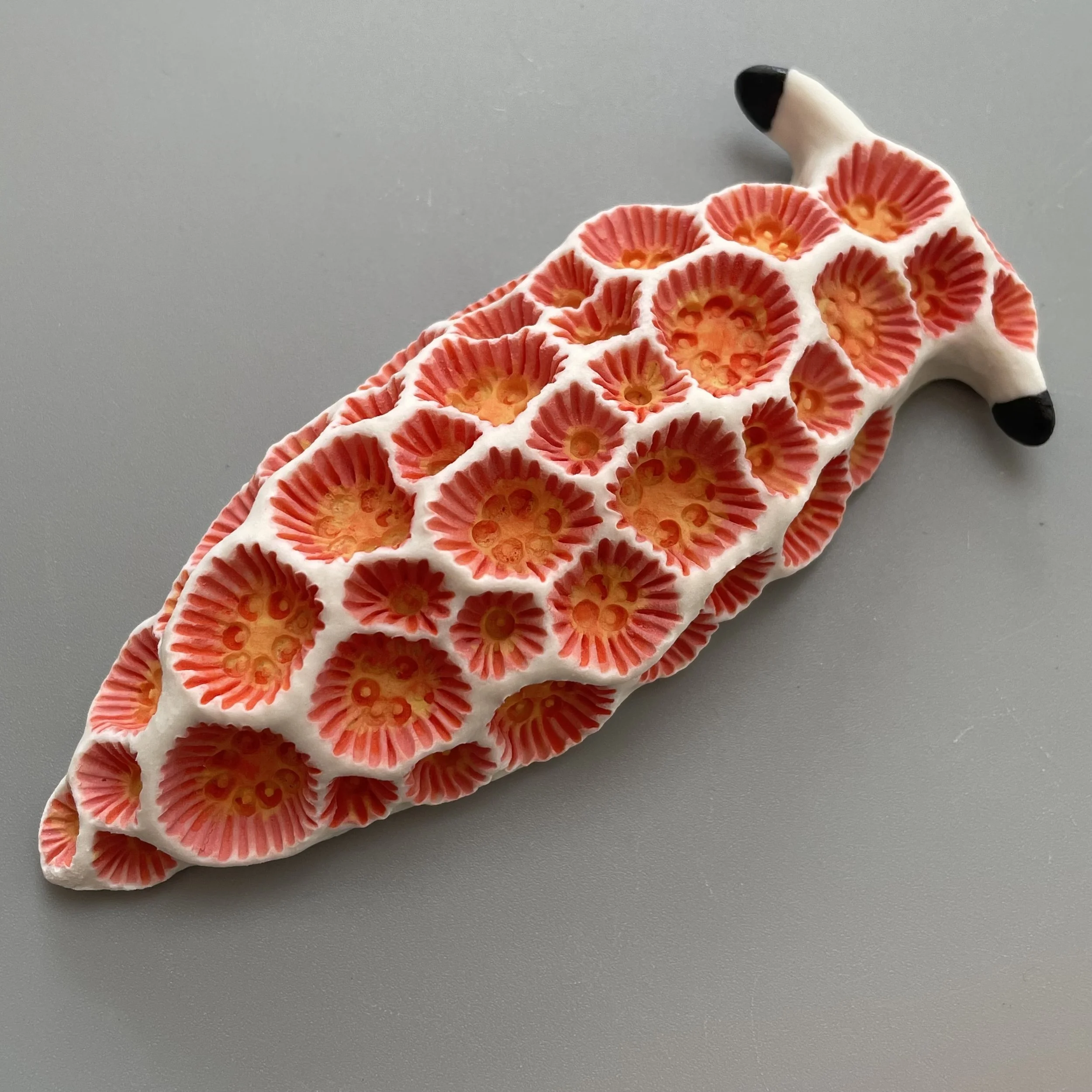 Mini Nudibranch 077
