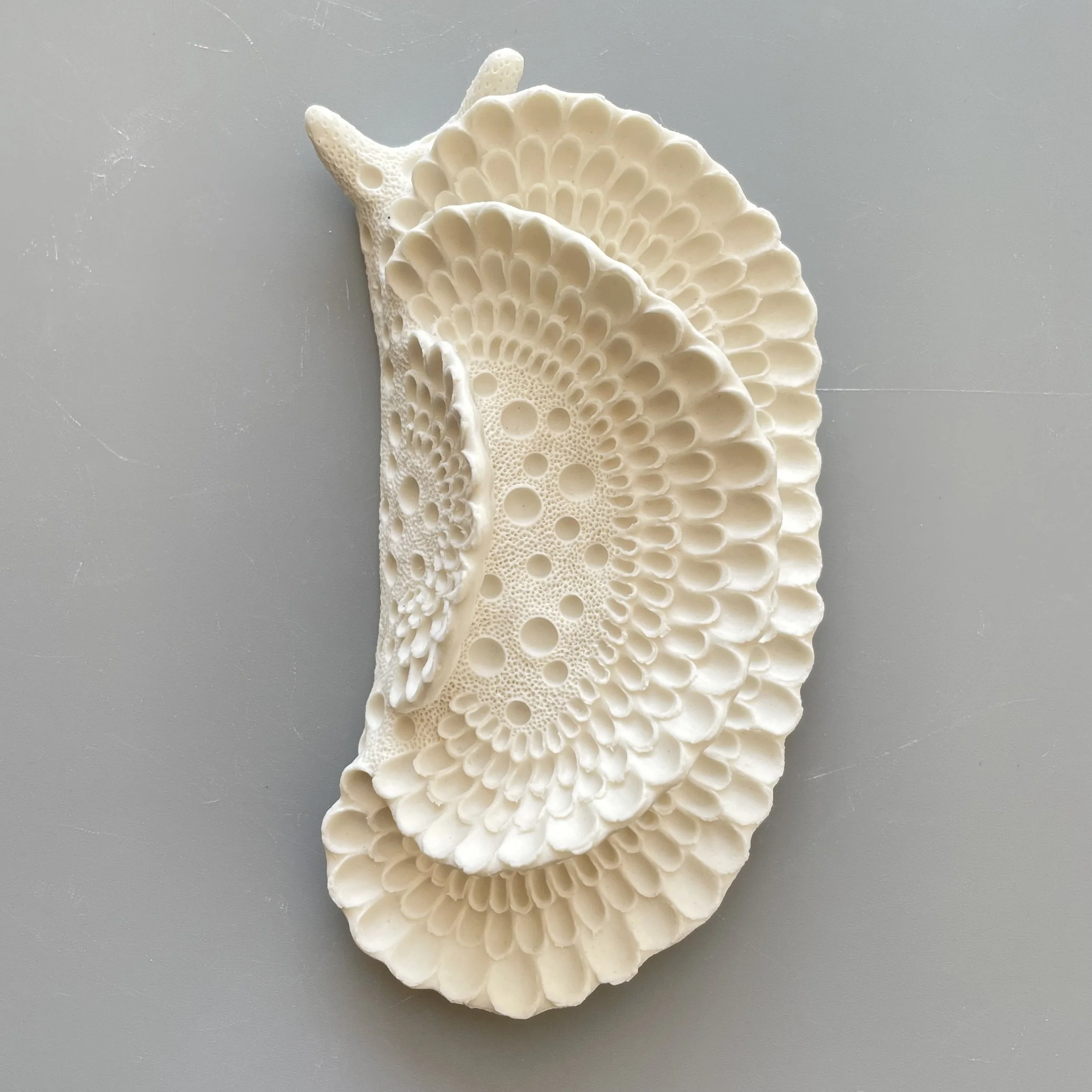 Mini Nudibranch 028